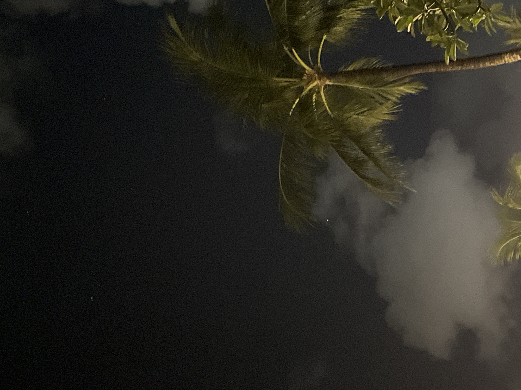 The image shows a night scene with palm trees against a dark sky, possibly in Kuta Selatan, Indonesia. The background is mostly dark, with faint clouds visible. The illumination suggests it is nighttime. The palm trees are the primary subject.