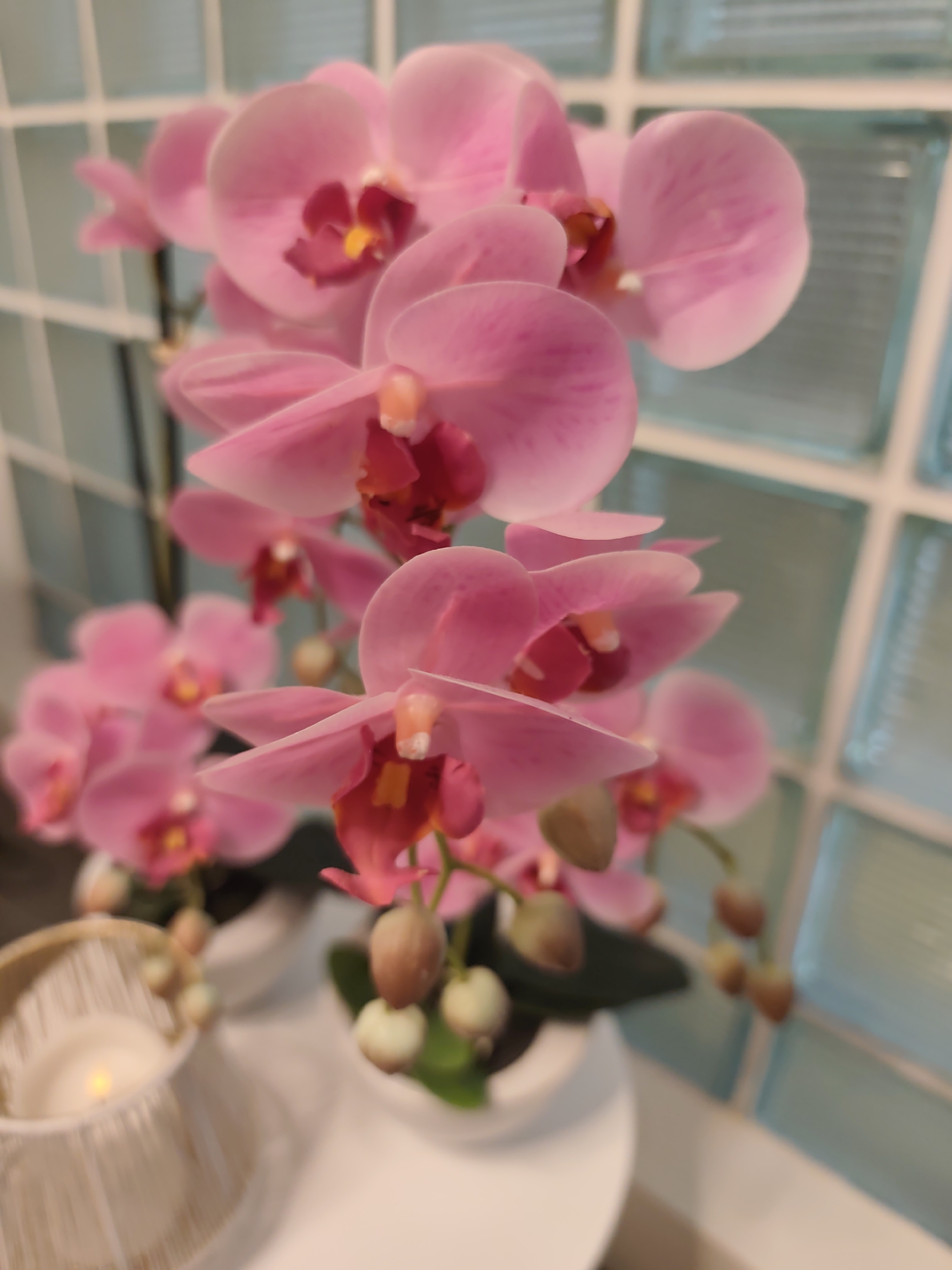 The image shows a close-up of a potted pink orchid plant with several blossoms. The background consists of a wall with translucent, blue-tinted glass blocks arranged in a grid pattern. To the left of the orchid, a white decorative candle holder with a lit candle is partially visible. The scene appears to be indoors, possibly in a home or a commercial establishment. There is no indication of the specific location within Prague, Czechia.