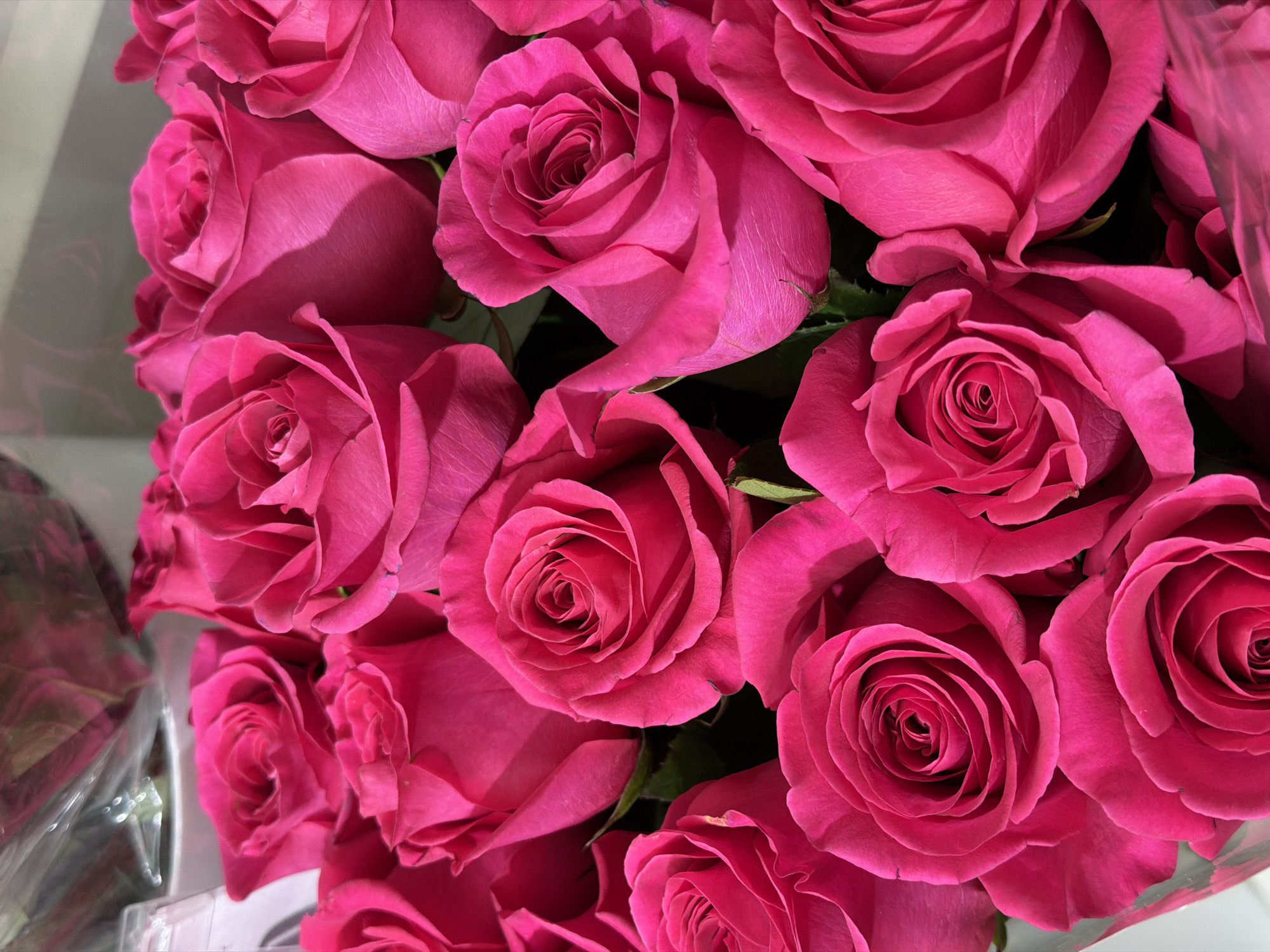 A bouquet of bright pink roses fills the frame, presented in a close-up, top-down view. The roses are tightly packed, their velvety petals overlapping to create a rich texture. Each rose showcases its intricate spiral center, highlighted by soft lighting that casts gentle shadows, emphasizing the depth and fullness of the blooms. The background is mostly dark, with some hints of glossy packaging material visible at the edges, suggesting the bouquet is freshly arranged. The overall impression is one of vibrant floral beauty, with the focus solely on the lush, saturated color and delicate form of the roses. The image is a still life of flowers, with no discernible location in the city of Unknown, Unknown.