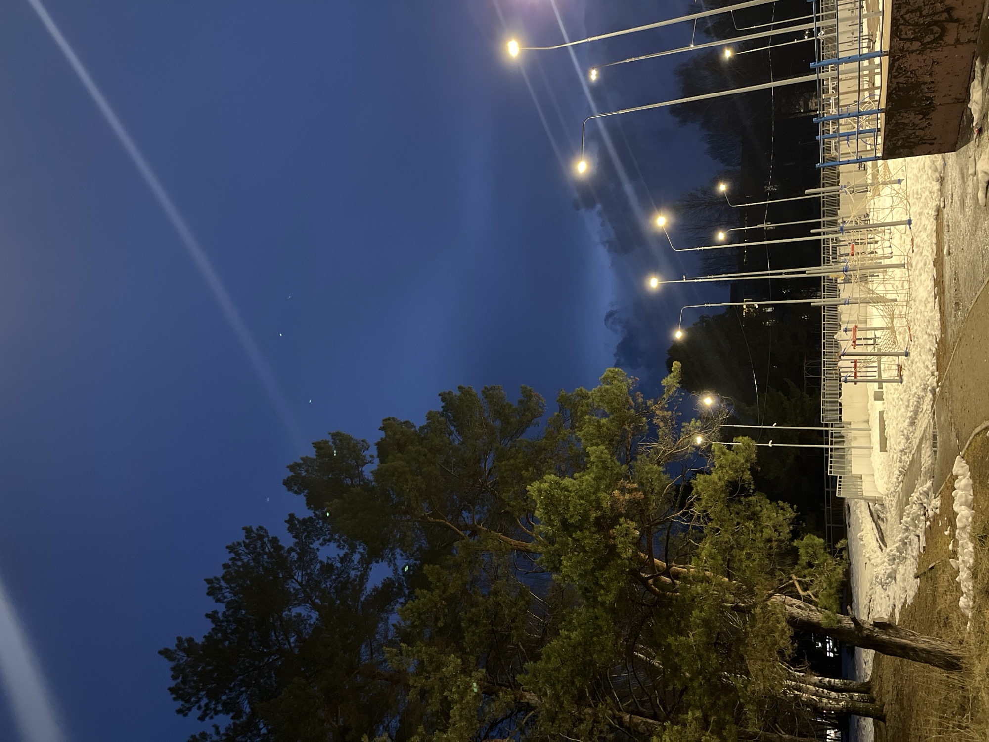 The image depicts an evening scene in what is likely Chaikovsky, Russia, characterized by a deep blue sky interspersed with wispy clouds and a prominent, unidentified light streak. A tall pine tree dominates the foreground, its dark green foliage contrasting with the evening sky. A row of streetlights extends along the right side of the image, casting a warm glow. Beside the streetlights is a sports ground with exercise equipment, partially covered in snow. A paved area adjacent to the sports ground indicates a pedestrian path. Overall, the image conveys a quiet, urban atmosphere at twilight.