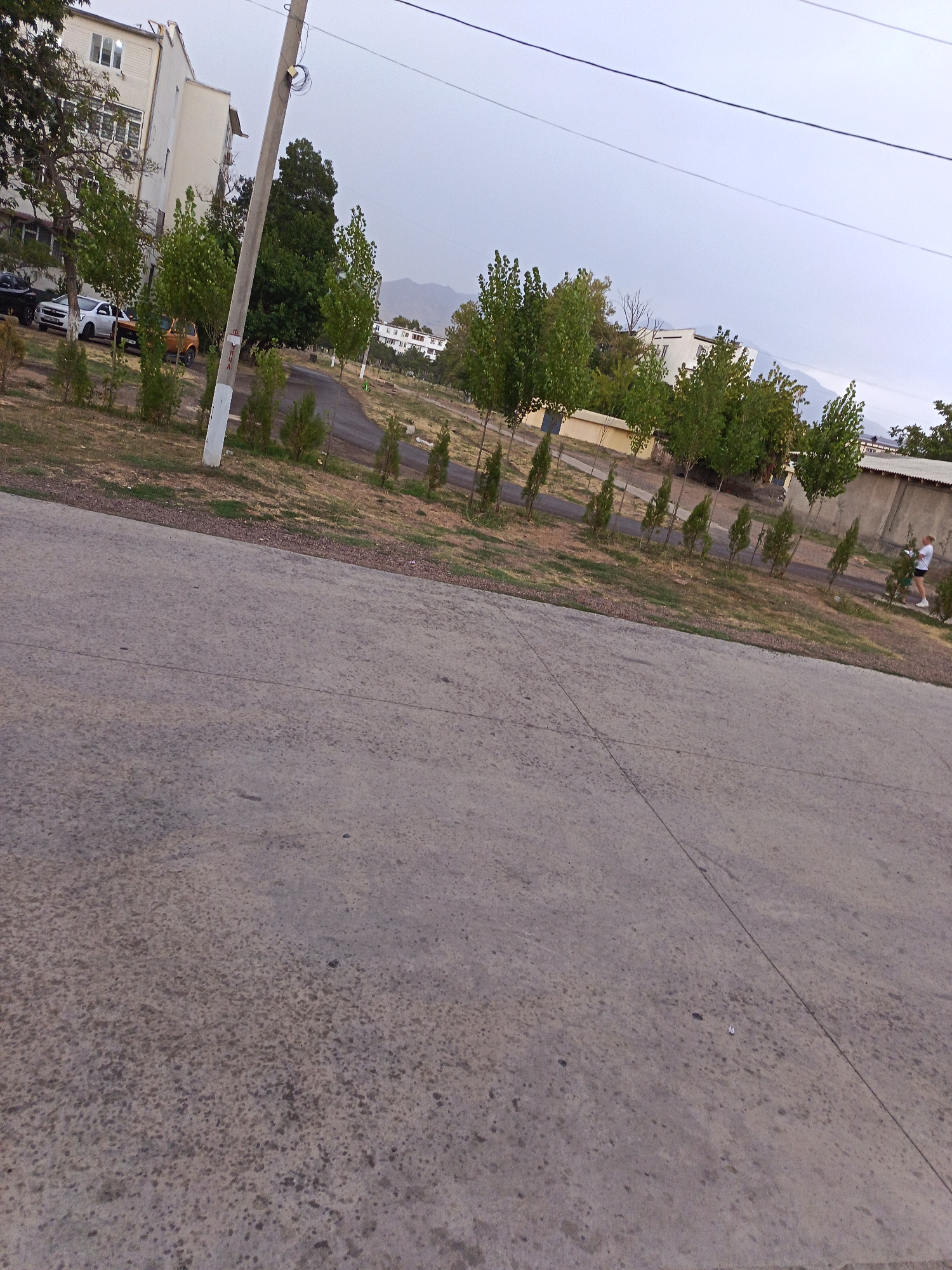 The image depicts a street scene in Angren, Uzbekistan. In the foreground, a grey concrete pavement is visible, with a dark line running diagonally across it. Beyond the pavement, a dirt path is lined with small, conical evergreen trees. Further back, a road curves to the right, bordered by a line of deciduous trees with green foliage.
On the left side of the image, a white, multi-story building with visible windows stands. Several cars are parked in front of it, including a white sedan and a yellow hatchback. A tall, grey utility pole with wires attached is positioned near the building.
In the middle ground, more trees are present, some taller and more mature than those lining the path. In the background, a low-lying building complex with a light-colored facade is visible, with some hills or mountains in the far distance under a cloudy sky.
On the right side of the image, a woman in a white shirt and dark shorts is walking, holding what appears to be a green object, possibly a watering can or a spray bottle, suggesting she might be tending to the plants. The overall scene appears to be an urban or suburban residential area in Angren, Uzbekistan, likely during daylight hours.