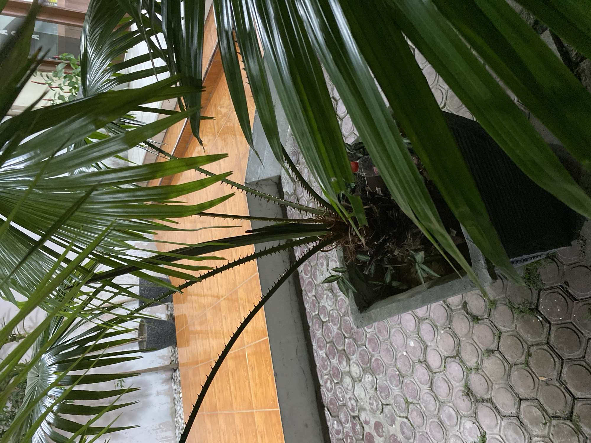 Memory
