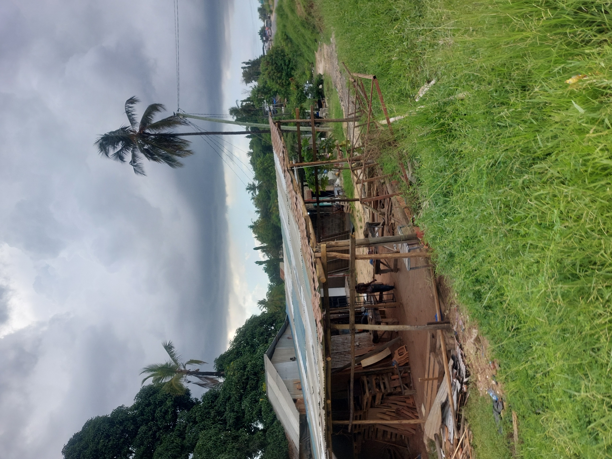 The image shows an outdoor scene in what appears to be a somewhat rural or underdeveloped area, possibly on the outskirts of Dar es-Salaam, Tanzania. The sky is overcast with dark, threatening clouds.
In the foreground, there's an open-air structure constructed primarily of wood. The structure appears to be a workshop or storage area, with stacks of lumber and various tools and materials scattered within. The roof is made of corrugated metal sheeting, exhibiting signs of wear and rust. The structure is simple, with wooden posts and beams providing the basic framework.
To the side of the structure, the ground is covered with tall green grass and weeds. There's also visible debris and scrap materials strewn about, contributing to a sense of disarray.
In the background, there are several palm trees and other lush vegetation, indicating a tropical or subtropical climate. The land slopes gently upwards into the distance. Power lines are also visible, stretching across the frame.
Based on these details, the scene depicts a modest, possibly improvised, workspace in a setting that combines elements of rural and semi-urban environments. The presence of palm trees and the general vegetation are consistent with the climate and landscape of Tanzania.