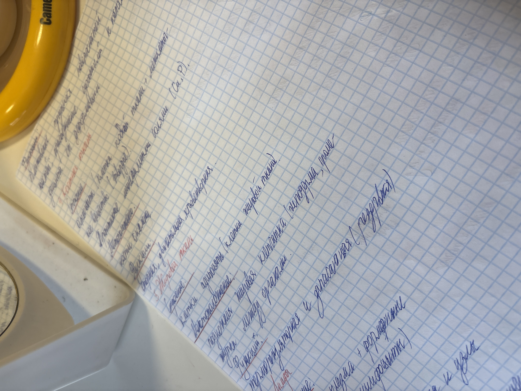 The image shows a close-up, overhead view of a page from a ruled notebook with handwritten text. The text is in blue ink and appears to be a list of biological or medical terms, possibly related to histology or cell biology. Some entries are underlined in red ink. The notebook page is placed on a white surface, and a portion of a yellow object with the brand name "Cam" visible is in the upper right corner. The lighting suggests an indoor setting. There is no indication of the city of Georgiyevsk, Russia, or any specific location within it. The image does not contain any people or depict any actions or interactions.