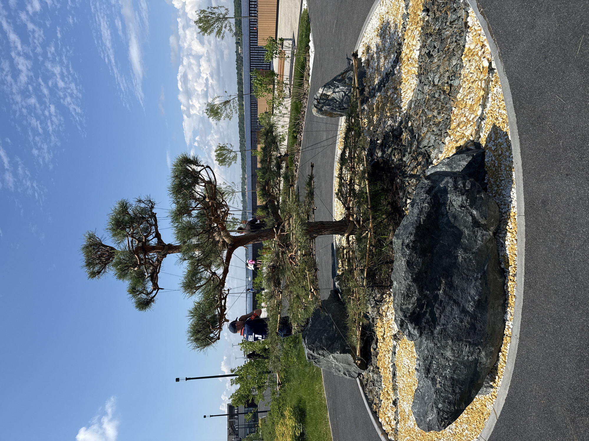 The image depicts a landscaped area with a bonsai-style tree as the focal point. The tree is surrounded by dark grey and yellow-colored gravel, with several large, dark grey rocks. The ground around the tree is paved with dark asphalt. In the background, a body of water is visible, with a boardwalk or promenade along its edge. Several people are present in the background, some walking and others standing. The sky is blue with scattered clouds. The location is identified as the Perm River embankment in the city of Perm, Russia. The scene is captured on a sunny day, suggesting pleasant weather conditions.