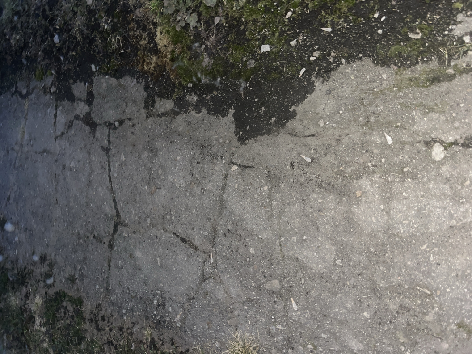 The image depicts a section of cracked asphalt paving in an outdoor environment. The top portion of the frame shows soil and vegetation, including grass and moss. The lower portion is dominated by the gray asphalt, displaying numerous cracks and variations in texture. The environment appears to be neglected, with signs of weathering and wear. The image does not contain any people, subjects, objects, or actions that provide enough information about the location. The location in the city of Podolsk, Russia is unknown.