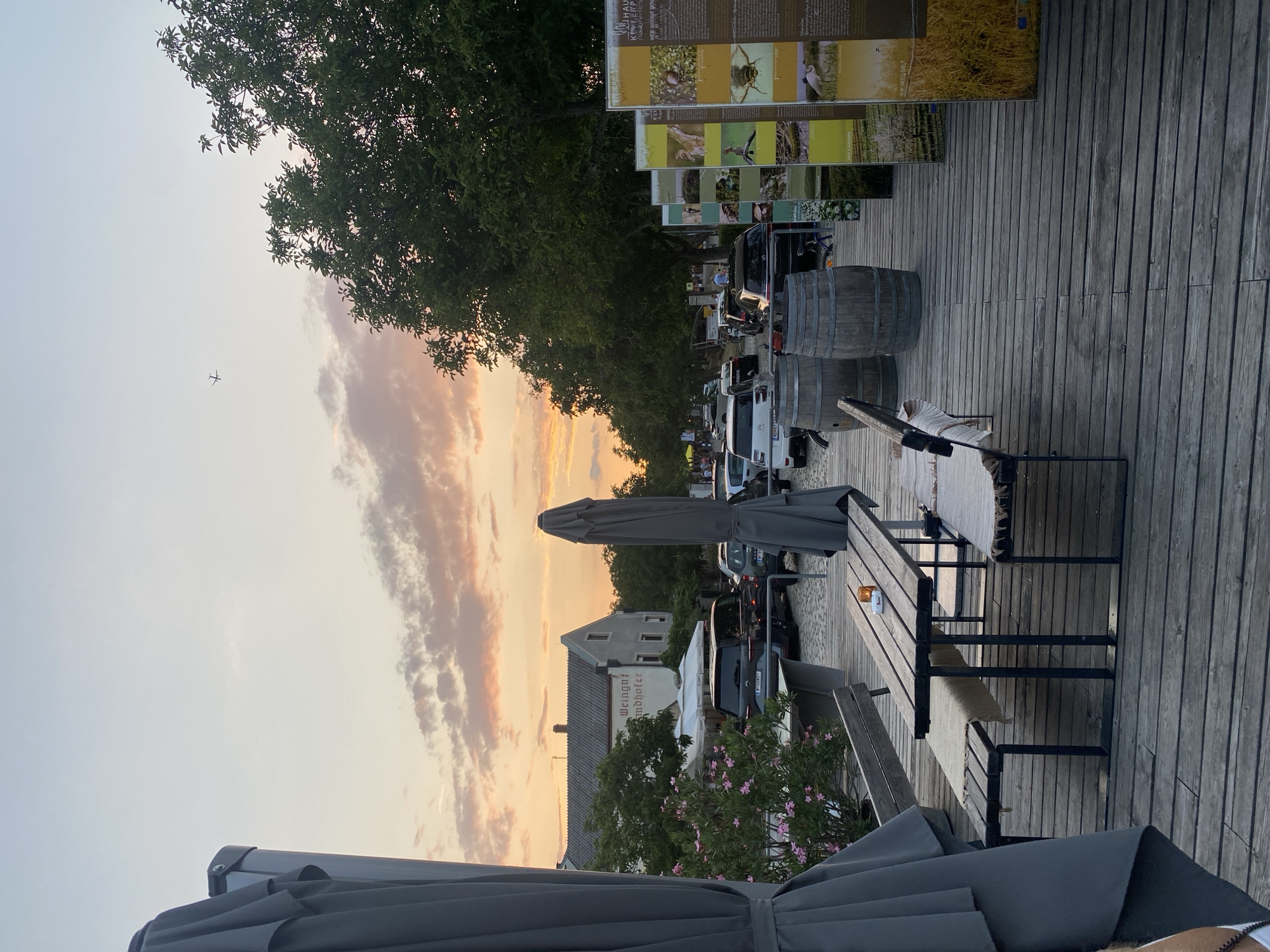 This image captures an outdoor seating area adjacent to a roadway in Purbach, Austria, during sunset. The foreground features a wooden deck with a picnic table and benches. A large gray umbrella is positioned to the left, and another is folded and standing to the right. Two wooden barrels are visible on the deck, behind the picnic table.
Beyond the deck, a street is lined with parked cars. On the left side of the street, a building with the sign "Weingut Landhotel" is visible, surrounded by trees and a bush with pink flowers. On the right side of the street, a row of informative displays stands, showcasing images of nature and wildlife, likely related to local ecology or agriculture, with text in German. The sky above displays a warm sunset palette with pink and orange hues against a pale blue. An airplane is visible in the distance, flying across the sky. The overall scene suggests a tranquil evening at a vineyard hotel or restaurant.