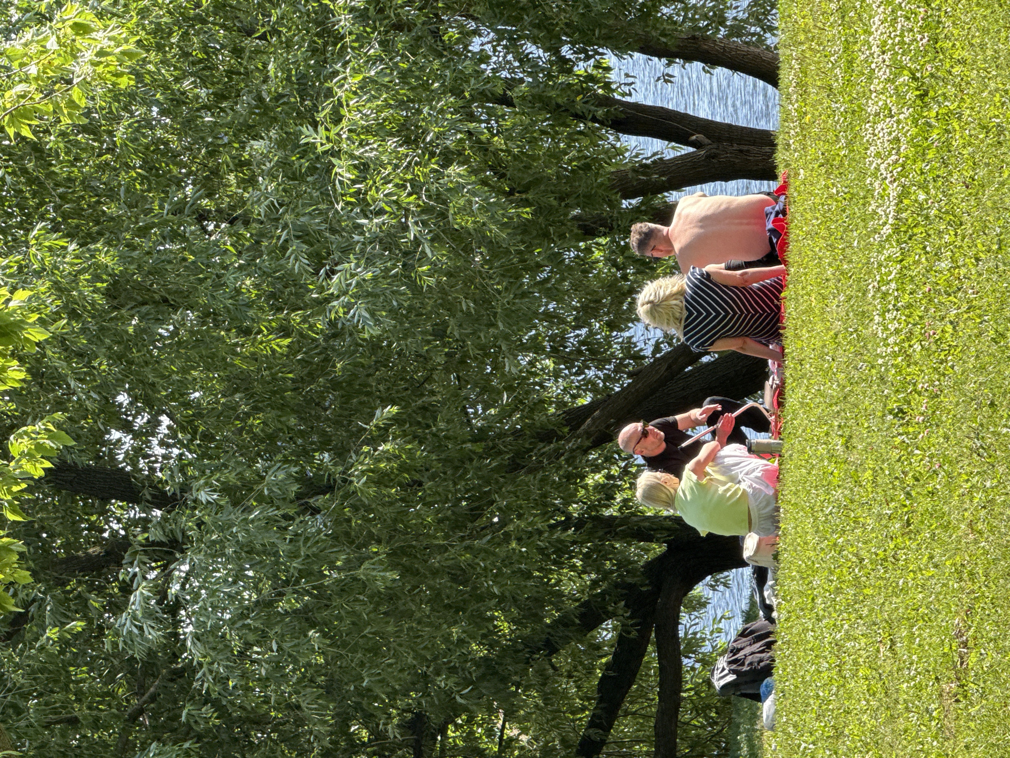 In a sunny outdoor scene near Khimki, Russia, several people are gathered on a grassy area next to a body of water, likely a lake or river. The orientation of the image is vertical, and it appears to be a warm, clear day, as indicated by the bright sunlight and the presence of people in casual, summer clothing.
The main subjects are a group of individuals relaxing outdoors. A man with no shirt on, wearing red and black shorts, is the most prominent figure in the foreground, facing away from the camera. Next to him, a woman with blonde hair, wearing a black and white striped top, is also seated. Further in the scene, another person, possibly a man, is wearing sunglasses and a black t-shirt, looking down at something. Another individual, a child or young person, is wearing a light green shirt and white pants and is also seated. A black bag with white lettering is visible on the ground.
The setting suggests a recreational area, possibly a park or a waterfront. A large tree with lush green foliage dominates the left side of the frame, providing shade. The water is visible in the background, reflecting the bright sky. The ground is covered in green grass, with some patches of small white flowers. The overall mood is relaxed and leisurely, suggesting a day spent enjoying the outdoors. There is no visible text in the image.