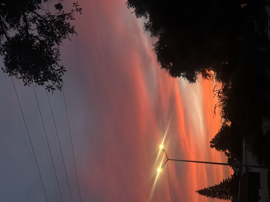 This image depicts a street scene in Tel-Aviv, Israel, at dusk. The sky dominates the upper two-thirds of the frame, displaying a vibrant gradient of colors ranging from deep blue-grey at the top, transitioning through purple and crimson, to intense orange and red hues near the horizon, with horizontal cloud formations. A Y-shaped streetlamp with two illuminated, bright yellow-white lights stands in the lower-middle left portion of the image, producing distinct lens flares. Multiple thin, dark power lines traverse horizontally across the upper-middle section of the sky. The lower third of the image is composed of dark silhouettes of dense vegetation, including a tall, pointed coniferous tree on the far left. A section of a light-colored building with a darker roofline is partially visible behind the coniferous tree. No individuals or active vehicles are discernible within the frame.
