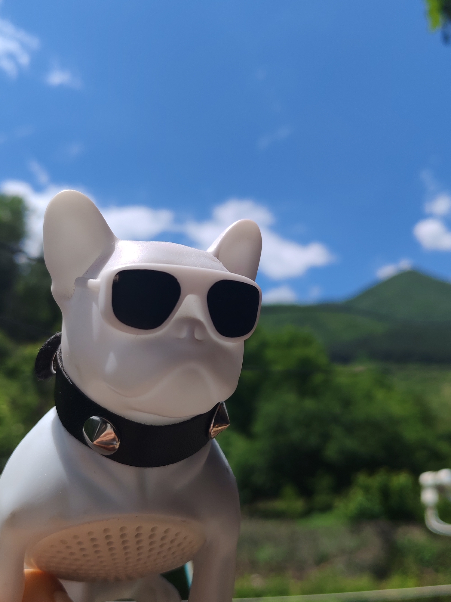 A white bulldog figurine wearing sunglasses and a spiked collar is in focus. The background is blurred, revealing a blue sky with white clouds, green trees, and a distant mountain. The location is outdoors, details of the city are not determinable.