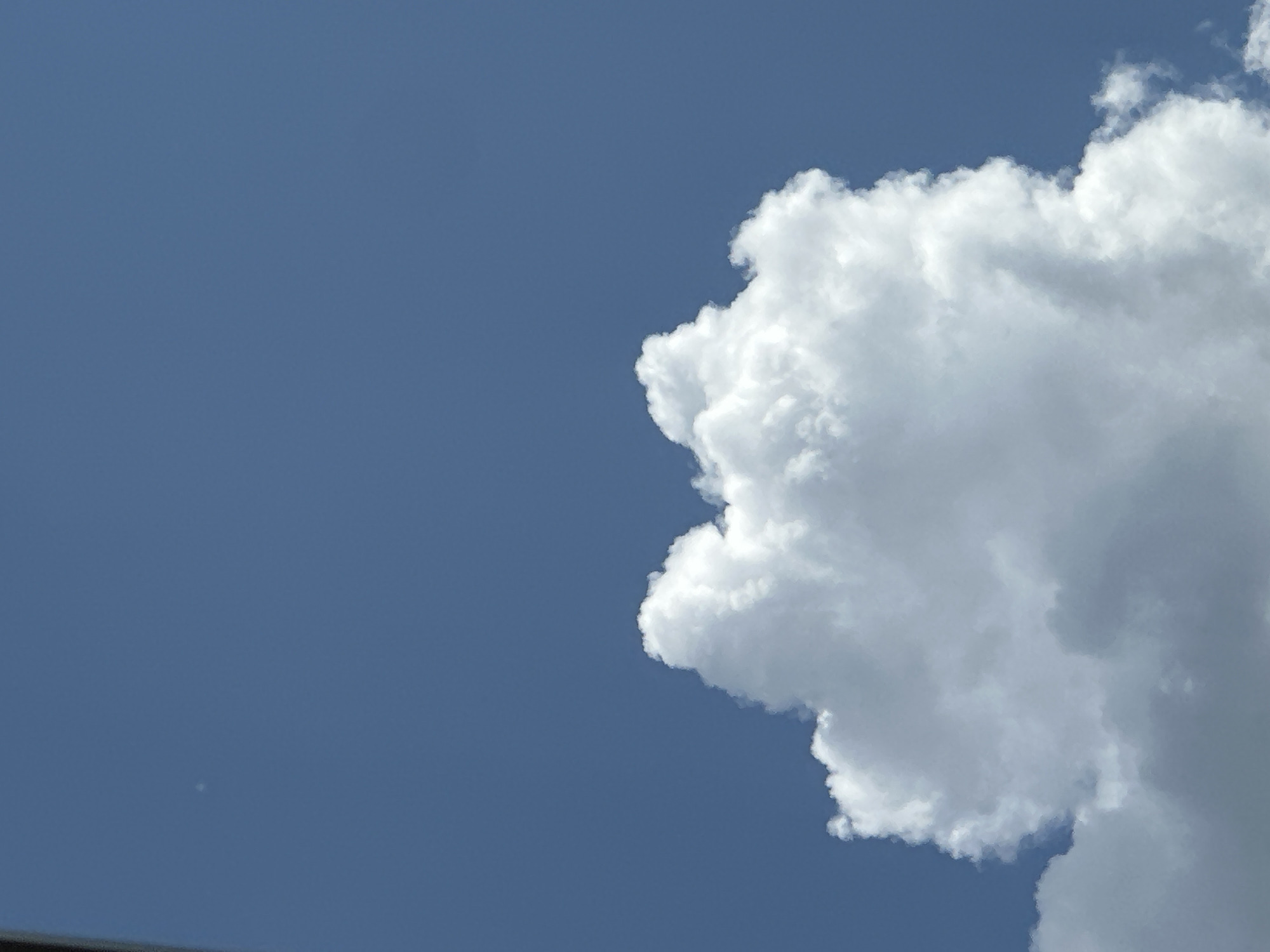 A fluffy white cloud is prominently displayed against a clear blue sky. The cloud occupies the lower portion of the image, with its top edge reaching towards the center. The sky is a uniform shade of blue, with a tiny, faint white speck, possibly a distant airplane or star, visible in the upper left quadrant. The lighting suggests it is daytime, likely with the sun positioned to the side of the cloud, casting some shadows and highlighting its textured surface. No other objects or elements are visible in the frame.