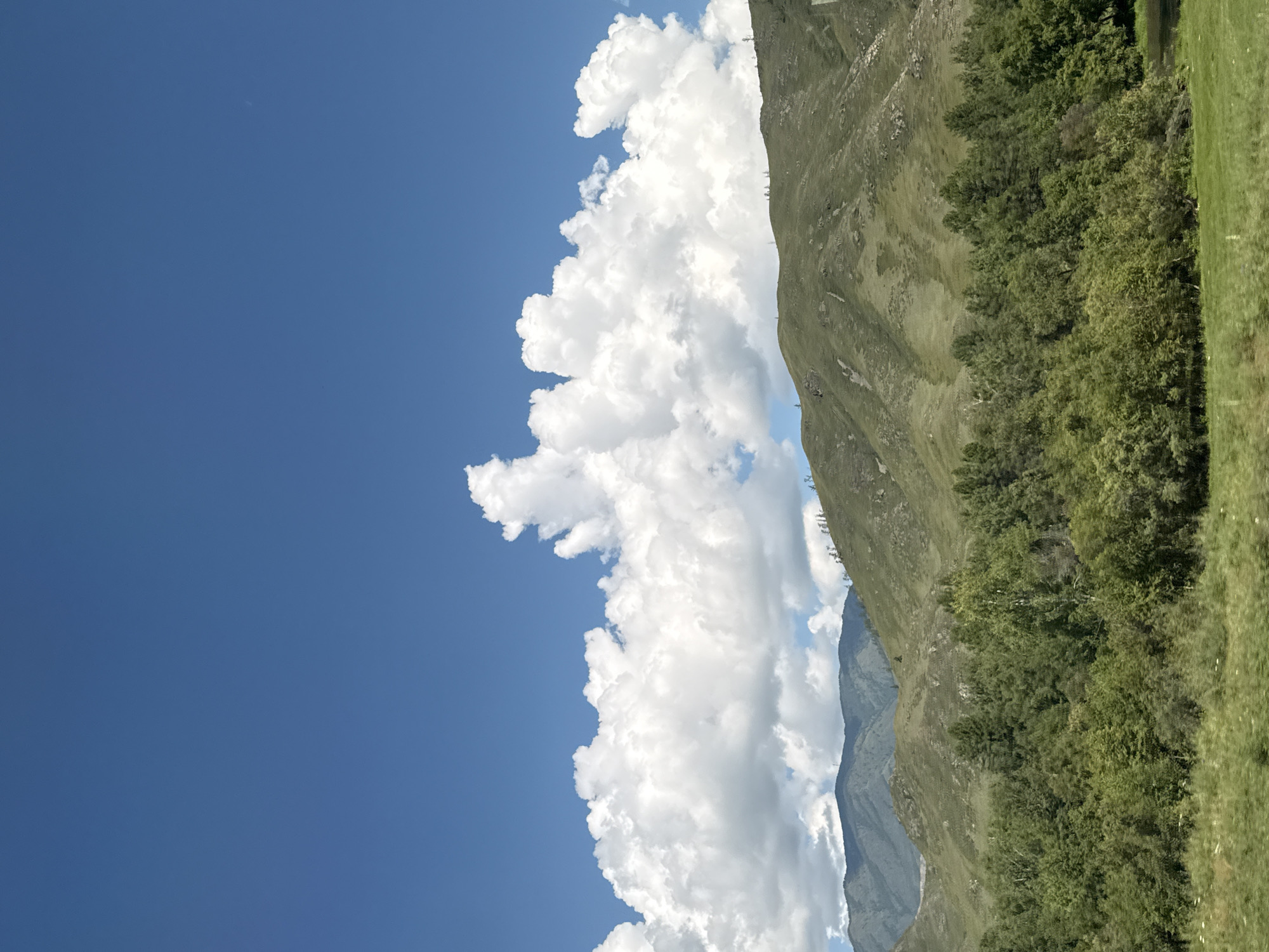 The image depicts a wide, panoramic view of a mountainous landscape under a clear blue sky dotted with fluffy white clouds. The foreground features a dense, verdant forest, with trees of various shades of green, indicating lush vegetation. Beyond the forest, rolling hills and mountains rise, their slopes covered in green grass and patches of sparse trees. The mountains in the background are layered, with some appearing more rugged and rocky. The overall scene conveys a sense of natural beauty and tranquility. This landscape is characteristic of the area around Onguday, a rural locality in the Altai Republic of Russia, known for its picturesque natural scenery.