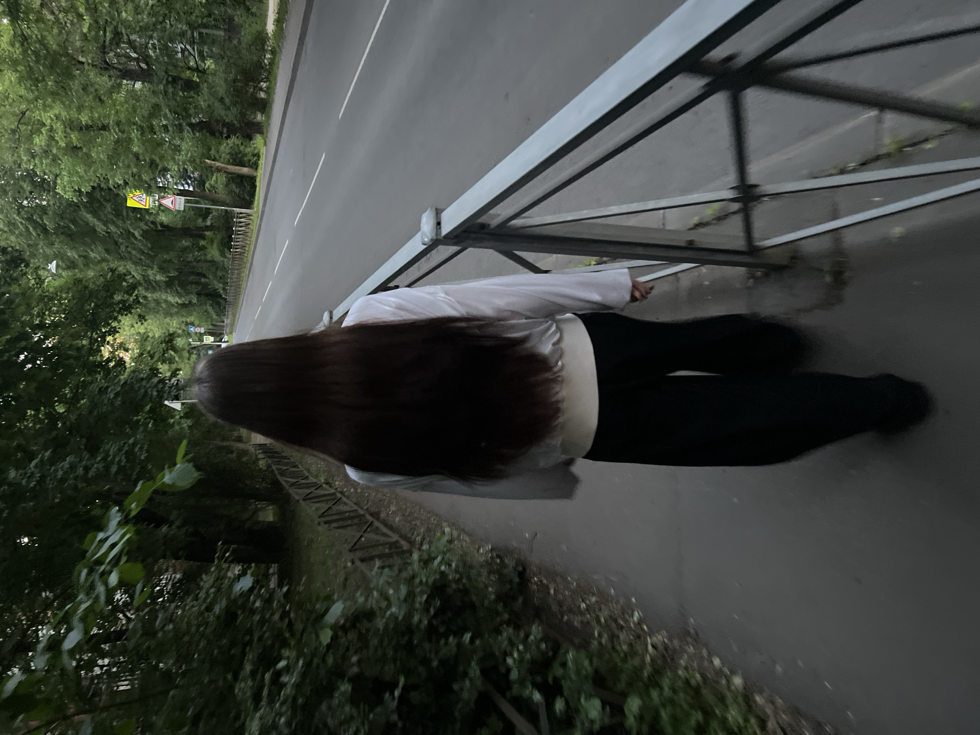 The image captures a person walking away from the camera on a paved sidewalk alongside a tree-lined avenue in Saint Petersburg, Russia, during what appears to be twilight or an overcast day.
The central figure, a female with long, dark brown hair extending to her waist, is wearing a light-colored (possibly white or light grey) long-sleeved top with a banded hem and dark, wide-leg pants. She is positioned slightly to the left of the frame, walking forward.
To her left, the sidewalk is bordered by a low, weathered wooden fence that separates it from a dense, overgrown green area with numerous mature deciduous trees and undergrowth, suggesting a park or a large natural buffer. The paved sidewalk is dark grey.
To her right, a light grey metal barrier with multiple horizontal rails separates the pedestrian path from a multi-lane asphalt road. The road features clear white dashed lane markings, indicating at least two lanes of traffic in the visible direction. Further along the road, two distinct Russian traffic signs are visible: a yellow diamond-shaped warning sign (1.23 "Дети") depicting two children, indicating a school zone or children's crossing, and directly below it, a red triangular "Yield" sign (2.1 "Уступите дорогу") pointing downwards. A less distinct blue rectangular sign is visible further in the distance.
Beyond the road, another line of tall, leafy trees forms a parallel green boundary. Through the trees in the far distance, faint outlines of buildings or structures can be discerned. The overall lighting is soft and diffused, creating a calm, muted atmosphere characteristic of an urban or semi-urban setting with significant green infrastructure, typical of many tree-lined avenues in Saint Petersburg.