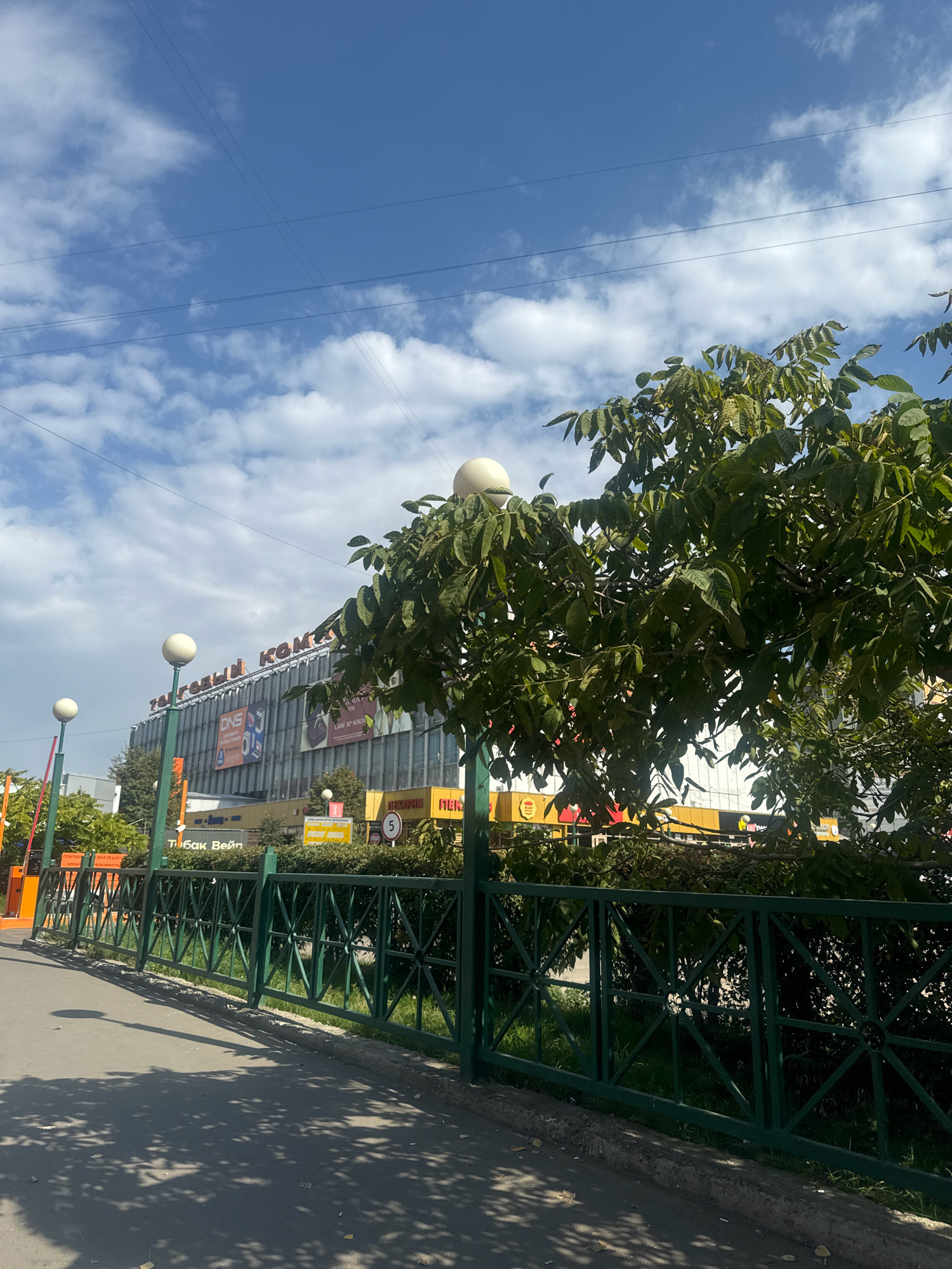 The image captures a daytime scene in Irkutsk, Russia, focusing on a commercial building and its surrounding environment. The building, identified by the prominent Russian text "ТОРГОВЫЙ КОМПЛЕКС" (Shopping Complex) and various signage including "DNS," appears to be a retail establishment. In front of the building, a dark green metal fence with a decorative diamond pattern lines the walkway. Trees with dense green foliage are situated behind the fence, partially obscuring the lower portion of the building. Several street lamps with spherical globes are visible, some taller than others. The sky above is a clear blue with scattered white clouds and thin, dark power lines crossing it. The ground in the foreground is an asphalt surface, shaded by the leaves of the trees, creating a dappled pattern. The overall impression is one of a typical urban commercial area on a bright day.