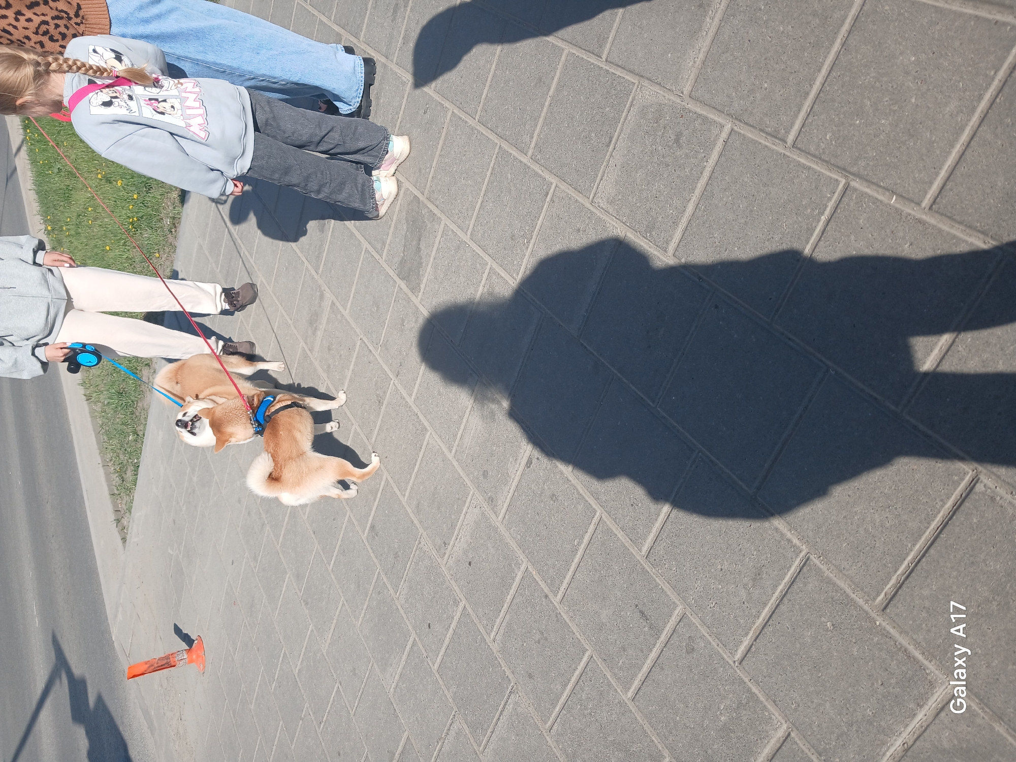 The image shows two tan Shiba Inu dogs on leashes, being walked on a sidewalk composed of rectangular grey paving stones. A woman in light grey sweatpants and a girl in a grey Minnie Mouse sweatshirt are leading the dogs. Part of another person's legs and a brown leopard print top are visible. An orange traffic cone sits on the edge of the sidewalk, next to the street. The shadow of the photographer falls on the pavement, obscuring some of the sidewalk. The text "Galaxy A17" is visible in the bottom right corner of the image. The location is Yekaterinburg, Russia.