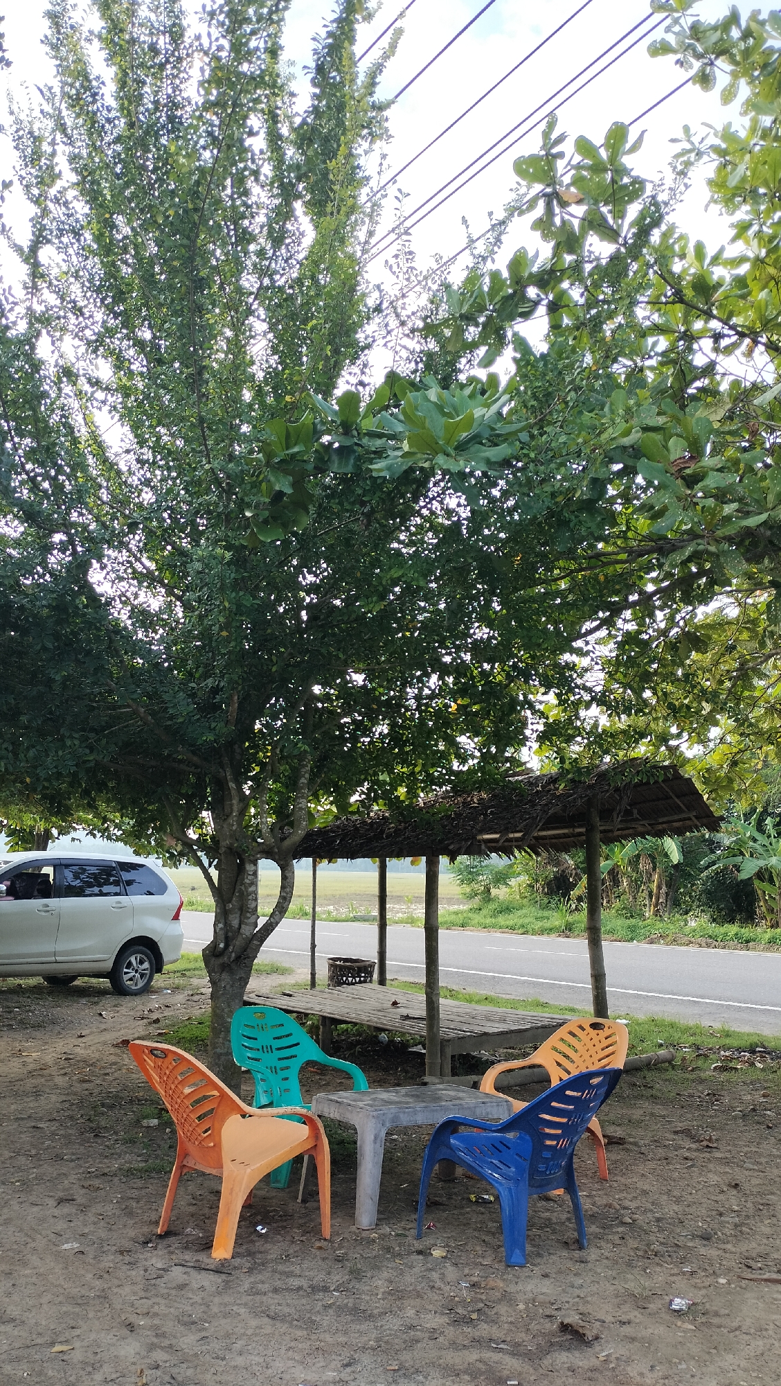 A roadside outdoor seating area is depicted, likely in Cotentung, Indonesia. The scene features a table and four plastic chairs (two orange, one turquoise, and one blue) arranged on dirt ground beneath the canopy of a large tree. To the right, a simple thatched-roof shelter with bamboo posts stands adjacent to the seating area. Beyond the shelter, a paved road runs horizontally across the frame, with a grassy field and distant trees visible on the other side. A white car is parked to the left, partially obscuring the trunk of the large tree. The overall impression is of a casual, utilitarian rest stop or informal eatery.