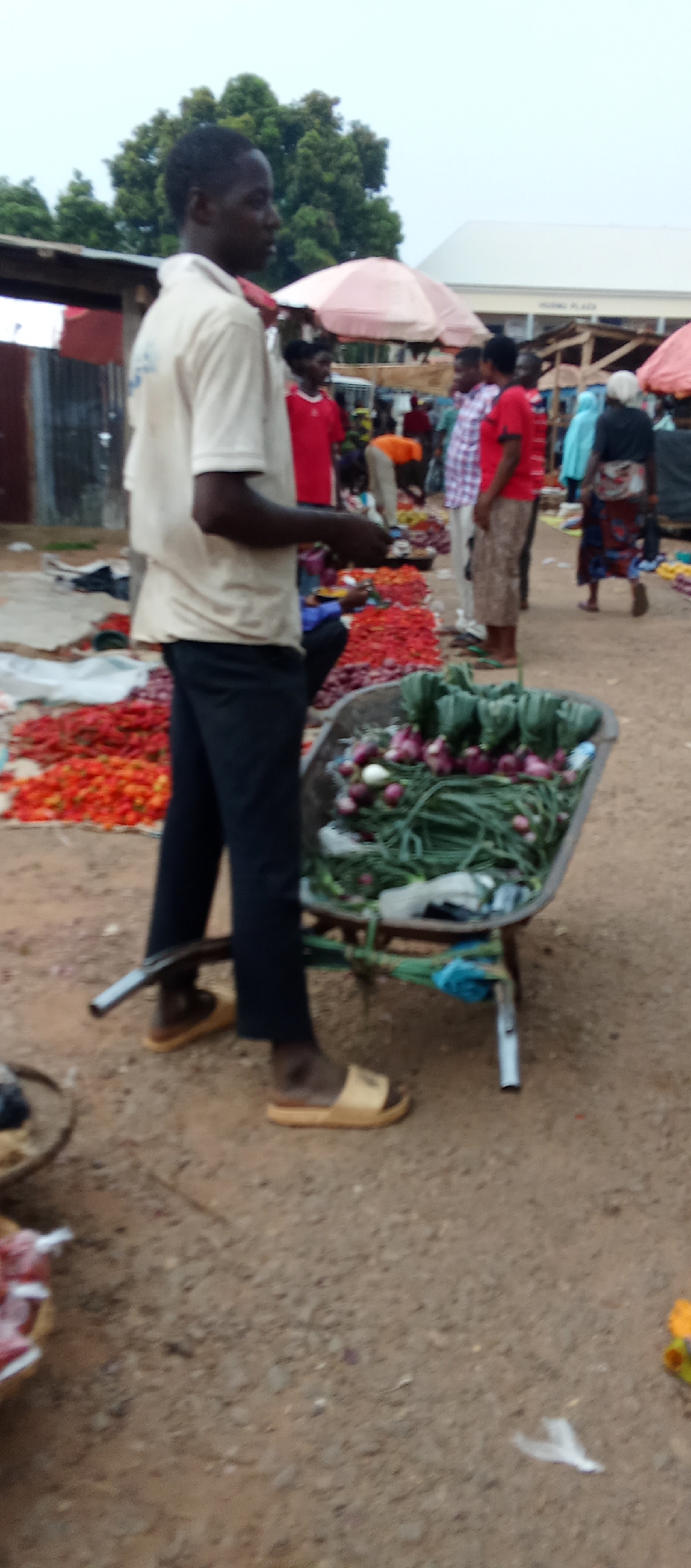 The image depicts a market scene in Akwanga, Nigeria. A man stands next to a wheelbarrow filled with vegetables, including onions and leafy greens. In the background, other vendors and customers are visible amidst stalls selling various produce, including tomatoes. The market area appears to be open-air with a dirt ground. The man wears a light-colored shirt and dark pants. Other people are seen standing, wearing colorful clothes and walking.
