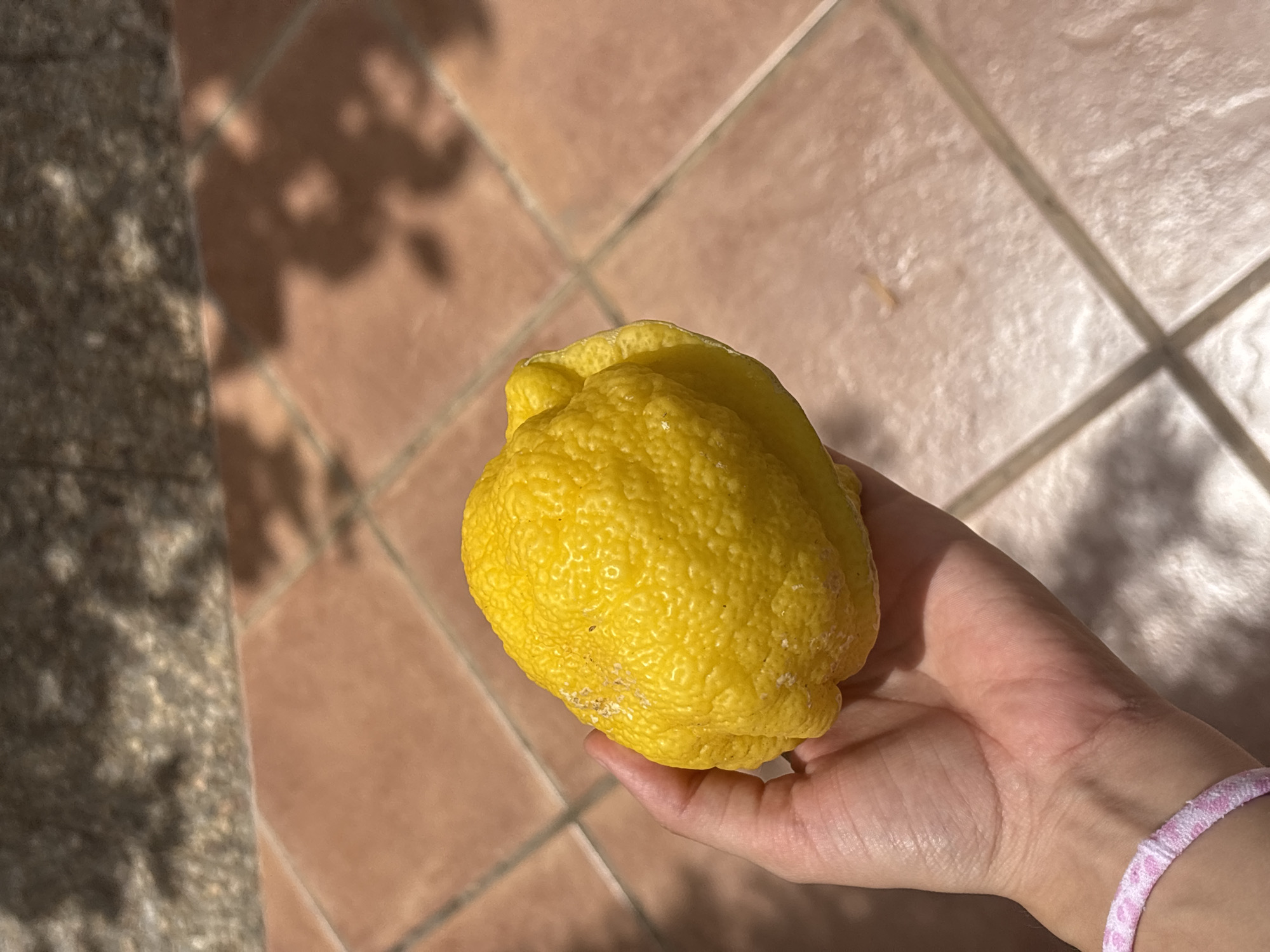 The image shows a person's hand holding a knobbly, bright yellow lemon. The hand is positioned in the lower right quadrant of the frame, with fingers curled around the fruit. A bracelet with a pink and white patterned band is visible on the person's wrist. The lemon is the primary subject, appearing somewhat unusually shaped and textured.
The background consists of a tiled surface, likely a patio or walkway, with terracotta-colored tiles laid in a grid pattern. Shadows of leaves and branches are cast across the tiles, suggesting an outdoor setting with overhead foliage. The lighting indicates it is daytime, with bright sunlight creating sharp contrasts and highlights on the lemon and the tiles.
The scene appears to be a casual, everyday moment, possibly someone showing off a piece of fruit. The bright sunlight and shadows create a warm, summery atmosphere. There are no visible text elements in the image. The location context provided is Orihuela, Spain, which aligns with the sunny, tiled outdoor environment.