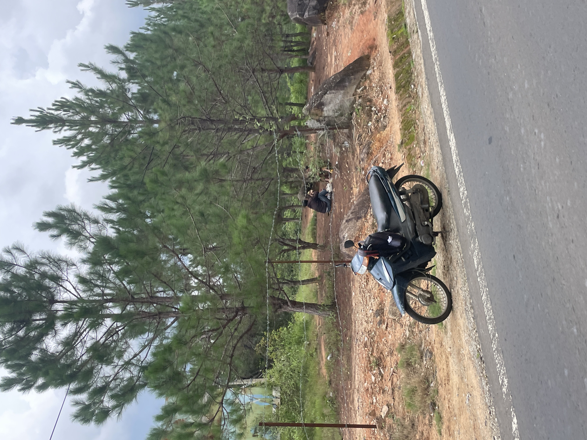 The image depicts a scene along a roadside in Thôn 5, Vietnam. In the foreground, a dark teal scooter is parked on the dirt shoulder of an asphalt road. The scooter has a black seat and a backpack hanging from the handlebars. Beyond the scooter and the dirt embankment is a barbed wire fence supported by metal posts, separating the road from a wooded area. The woods are dominated by tall pine trees with a dense canopy of green needles. In the background, within the wooded area and near the fence, two individuals are seated on the ground, appearing to be engaged in an activity, possibly taking a break or interacting with each other. One person is wearing a dark jacket and jeans, and the other is partially obscured but also appears to be dressed casually. The ground within the wooded area is a mixture of red dirt, dry leaves, and some scattered rocks. The sky above is overcast with clouds. To the left of the wooded area, a glimpse of a blue and white structure, possibly a building or container, is visible. The overall impression is a roadside stop in a semi-rural or natural environment characterized by pine forest.