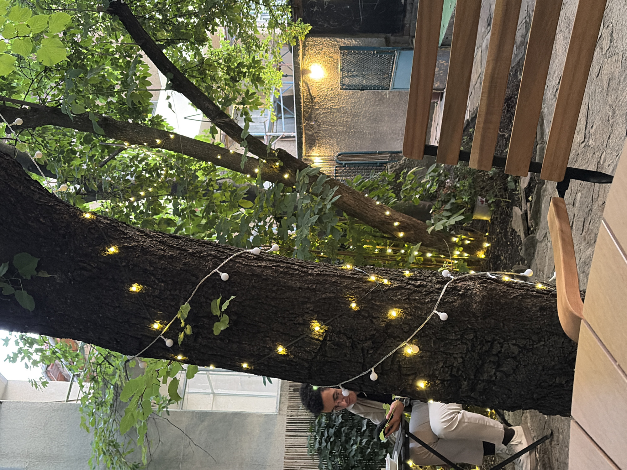In an outdoor courtyard setting, a man is seated at a table on the left, engrossed in his mobile phone. He wears glasses, a light-colored jacket over a dark top, and light-colored pants with white sneakers. The courtyard is decorated with string lights that are wrapped around the trunk of a large tree in the foreground and also adorn other trees in the background. To the right, a wooden bench with dark metal legs faces away from the viewer. The ground is paved with stone. Behind the bench, a building with a textured wall and a lit window can be seen, along with a blue metal door. The overall atmosphere suggests a relaxed, evening ambiance.