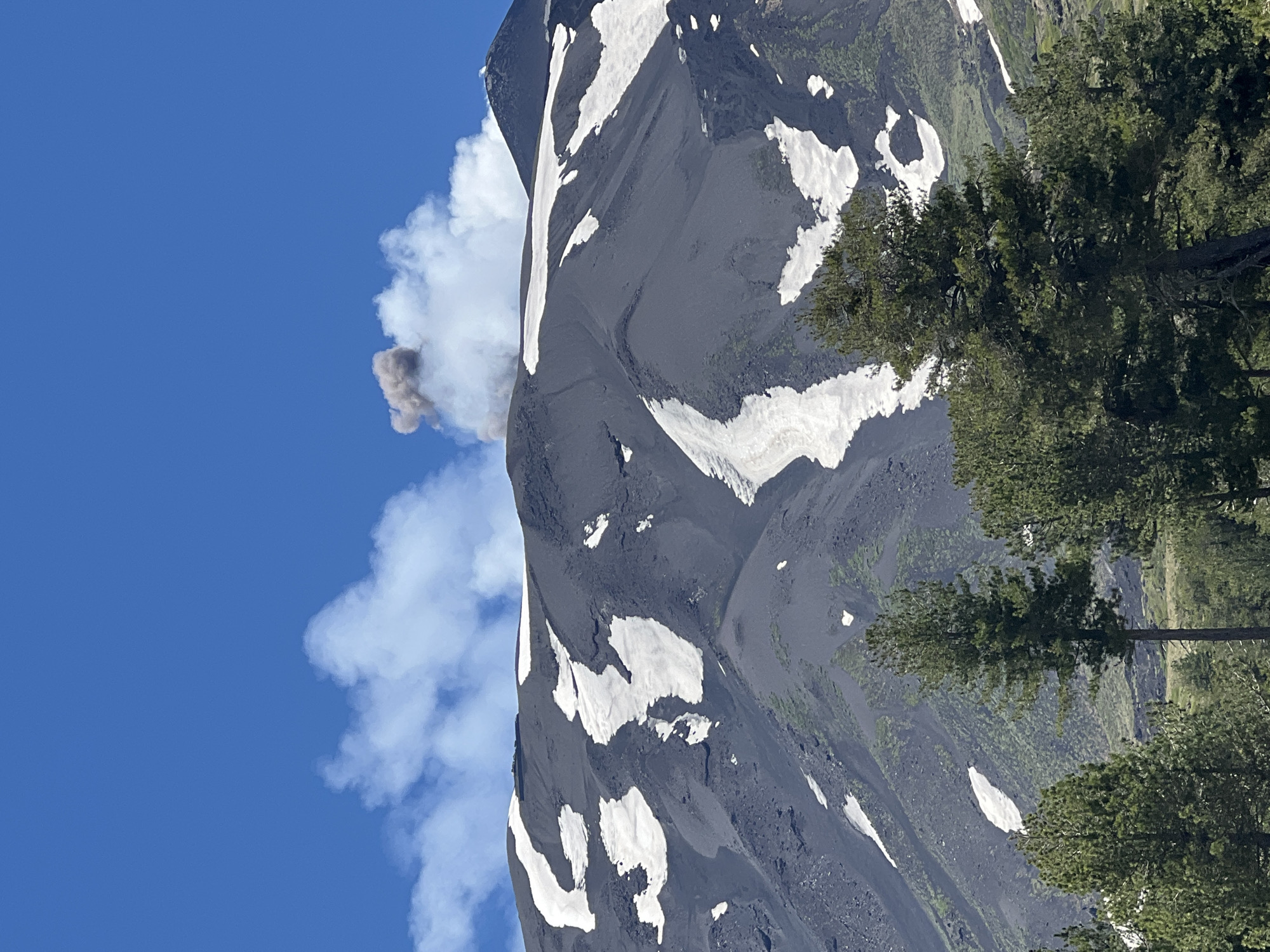 The image depicts a volcanic landscape under a clear blue sky. The foreground features a dense forest of tall, evergreen trees. Behind the trees, the slopes of a dark, rocky mountain rise, partially covered in patches of white snow. At the summit of the mountain, a plume of grey smoke billows into the sky, indicating volcanic activity. The scene is likely Mount Etna, as Linguaglossa is a town situated on its slopes, making it a plausible viewpoint for this phenomenon.