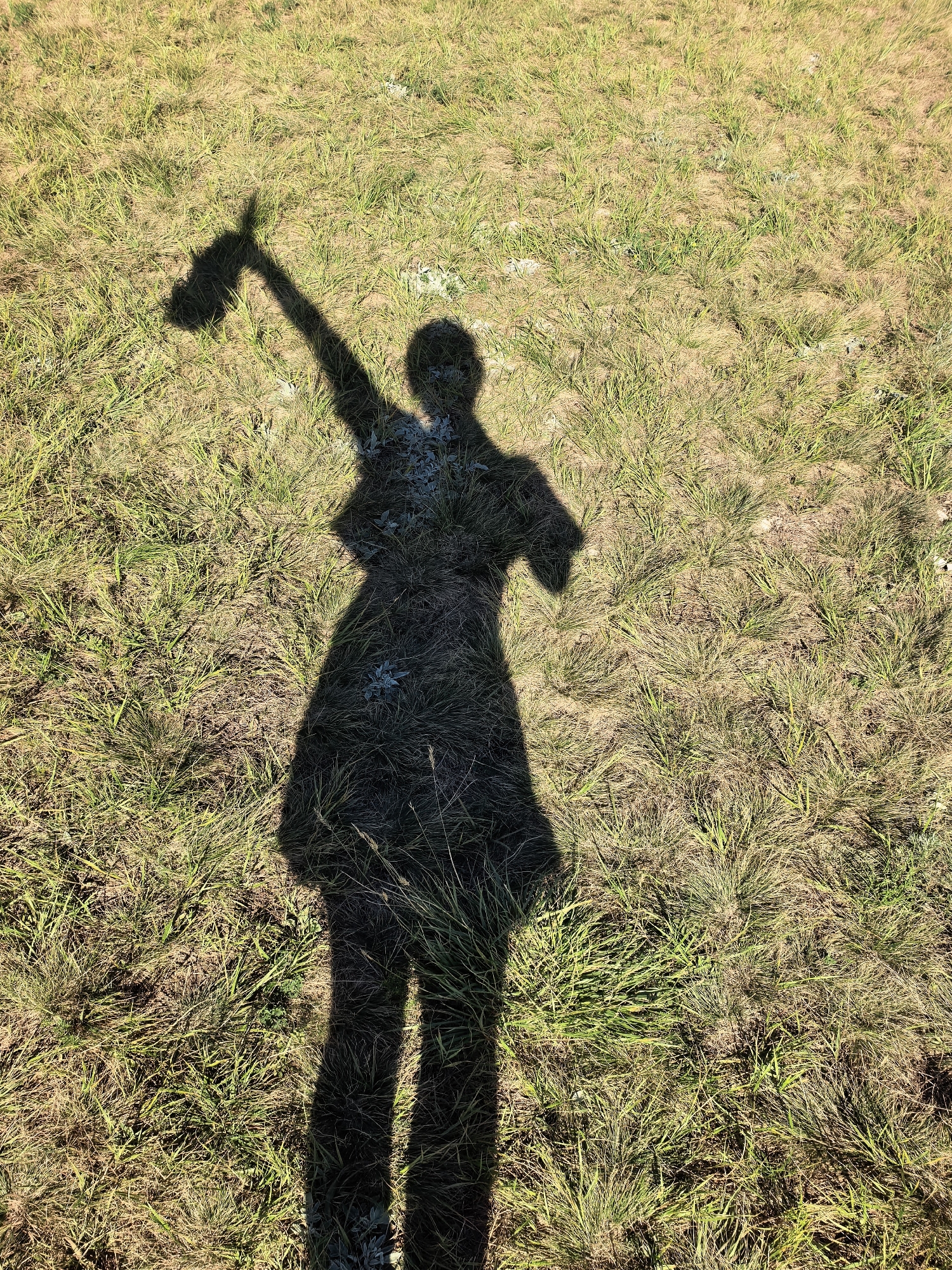 The image depicts the shadow of a person standing in a grassy field under bright sunlight. The shadow is cast on dry, yellowish-green grass, with some lighter green patches scattered throughout. The person's shadow is seen from a top-down perspective, with their head and right arm raised, holding an object that appears to be a smartphone. The rest of the shadow clearly shows the silhouette of a person wearing a dress. The environment is an outdoor, natural setting, likely a park or open field, characteristic of areas within or surrounding the city of Shikhan, Russia, known for its steppes and natural landscapes.