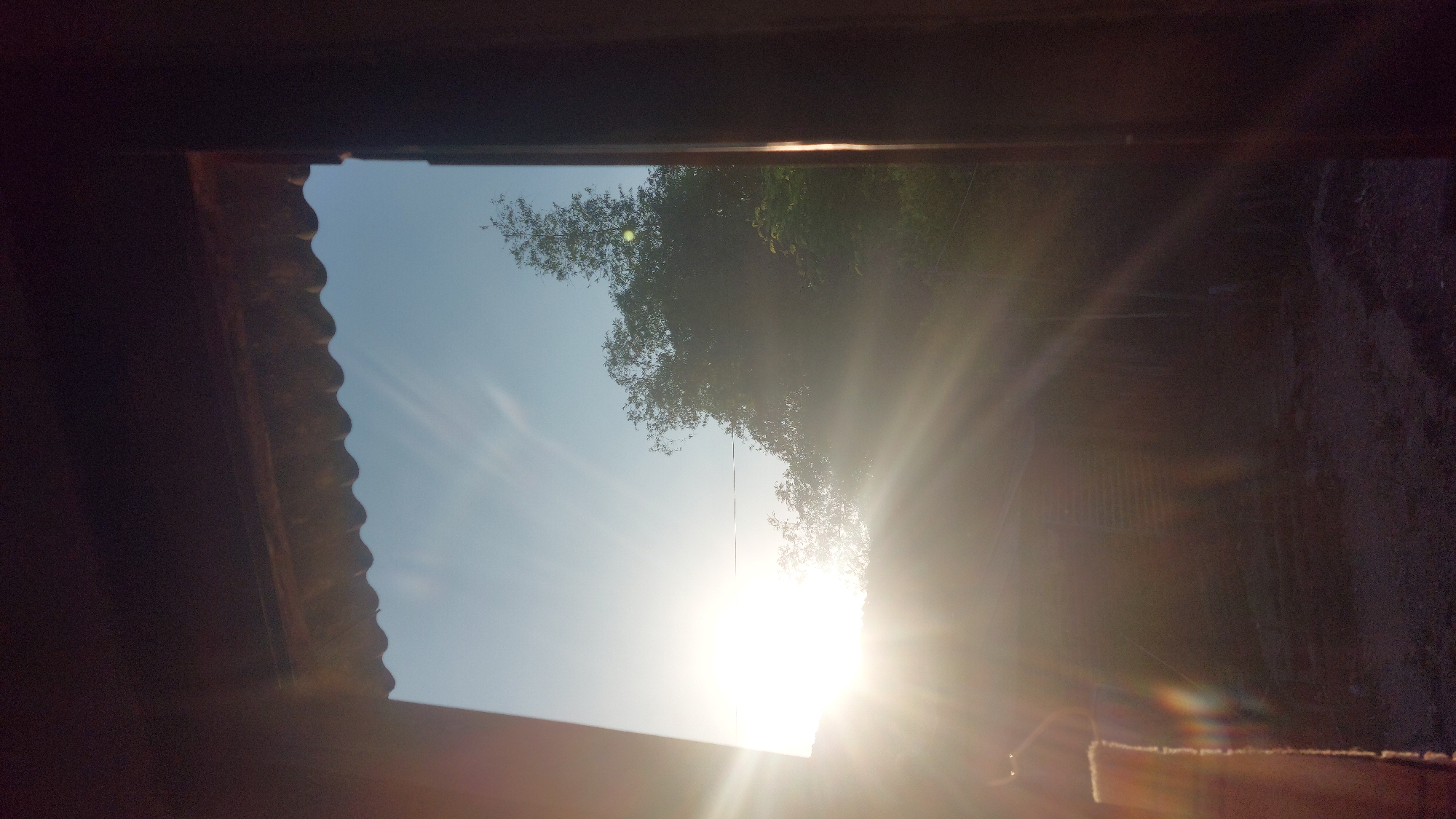 The image is a view through an opening, likely a doorway or window, looking out towards a bright sky with the sun prominently featured. The sun is a large, intense light source with visible rays emanating outwards, creating lens flare and illuminating the scene with a warm, golden hue. In the background, silhouetted against the bright sky, is a dense canopy of trees. The opening through which the viewer is looking is framed by dark, vertical elements on the sides and a scalloped, dark structure at the top, possibly a roof overhang. The foreground, visible within the opening at the bottom, appears to be ground with some debris or texture. The overall impression is of a serene, possibly rural or natural setting, seen during either sunrise or sunset. The location is identified as Jatirogo, Indonesia.