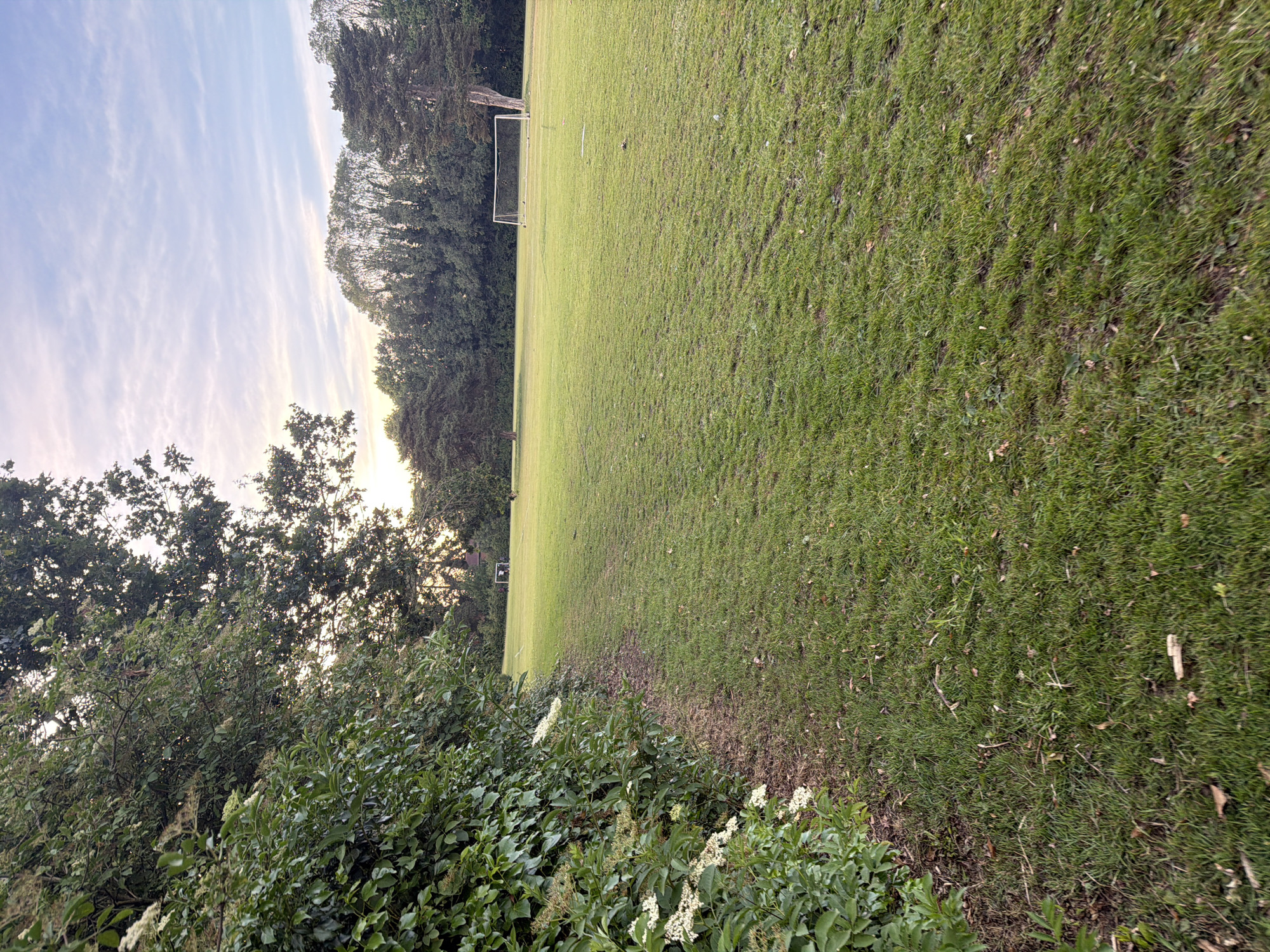 This forensic photograph captures an unpopulated outdoor recreational field, consistent with a public park in Maidstone, United Kingdom, though precise identification of a specific location within the city is not ascertainable from the visual data. The scene is illuminated by the low sun, indicating either early morning or late afternoon. In the foreground on the left, a dense green hedge, adorned with clusters of white flowers (likely elderflower), borders a narrow dirt path. This path delineates the edge of an expansive, mown grass field that occupies the midground and right. Two white metal soccer goalposts are positioned in the distance on the field: one towards the left and another larger one further right, adjacent to a tall tree. The background features a solid line of mature trees, both deciduous and coniferous, silhouetted against a pale blue sky with wispy, horizontally stretched white clouds, tinged with soft pinks and oranges near the horizon. No individuals or discernible activities are present within the frame.