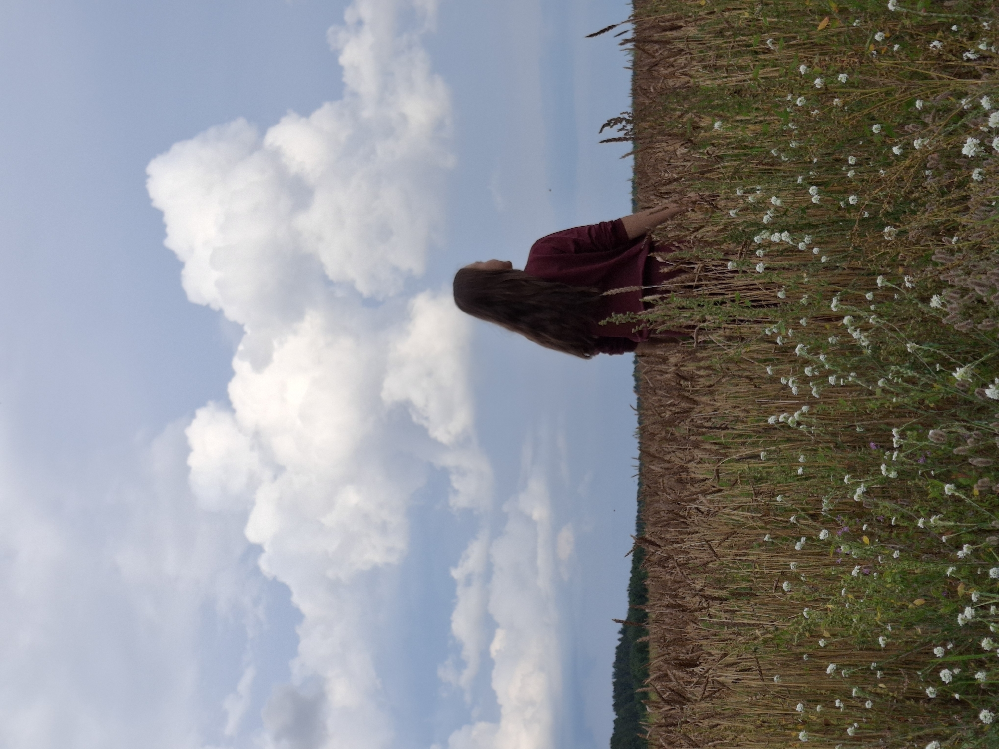 A young woman with long, dark hair stands in a field of wheat, facing away from the camera and looking towards the sky. She is wearing a maroon sweatshirt. The field is dense with wheat stalks and interspersed with white wildflowers. In the background, a dark line of trees forms the horizon, beneath a sky filled with large, dramatic white clouds against a pale blue. The image is captured from a low angle, emphasizing the expanse of the sky and the vastness of the field. The location is the village of Plishkino, Russia.
