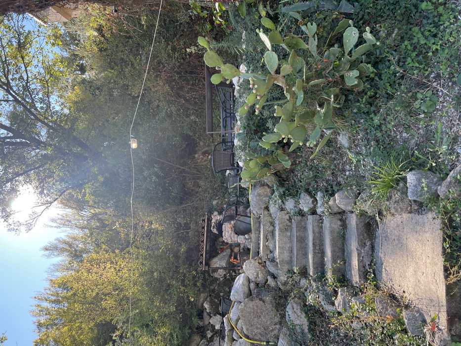 The image depicts an outdoor terraced area in Divanovići, Montenegro, under bright sunlight. In the foreground, a set of worn concrete steps ascends through an unkempt garden bed featuring large natural rocks, various green vegetation, and prominent prickly pear cacti (Opuntia) with some budding fruit. A yellow garden hose is visible among the rocks to the left of the steps. In the midground, at the top of the steps, is a brick barbecue structure with a tiled roof, a metal grate, and a black cooking pot resting below it. Surrounding the barbecue are dark wicker chairs and a dark rectangular outdoor table, suggesting a seating area. A single string light with a clear bulb hangs suspended overhead, running horizontally across the scene. The background consists of a dense hillside covered in lush green trees and foliage, with the sun brightly illuminating the top center of the frame. No individuals are present, and no specific actions or interactions are depicted.