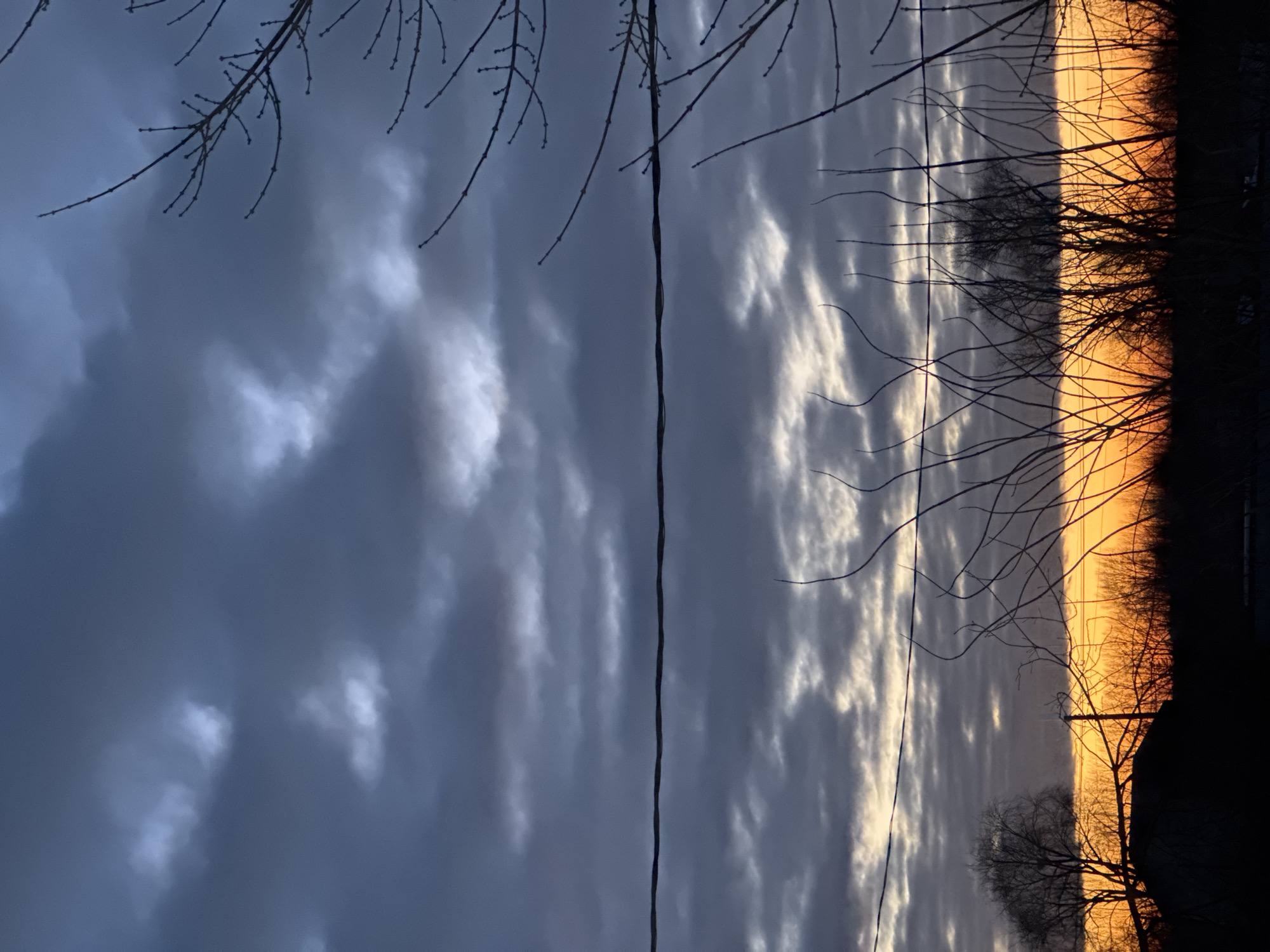 The image displays an outdoor twilight scene, likely a sunrise or sunset, in Chaikovsky, Russia. The upper two-thirds of the frame are occupied by a heavily clouded sky, characterized by dark blue-grey clouds interspersed with lighter grey and white formations. A prominent, dark utility wire, appearing as a twisted cable, horizontally traverses the mid-ground of the image, running across the cloud layer. Below this wire and the clouds, the sky transitions into a vibrant orange and yellow glow along the horizon. The foreground is entirely silhouetted, presenting a dense arrangement of numerous bare, leafless tree branches and shrubbery. A large, distinct tree silhouette is visible on the far left, alongside a dark, indistinct roofline or mound. A vertical pole, consistent with a utility pole, is also discernible within the silhouetted vegetation towards the center-left. No people are visible.
