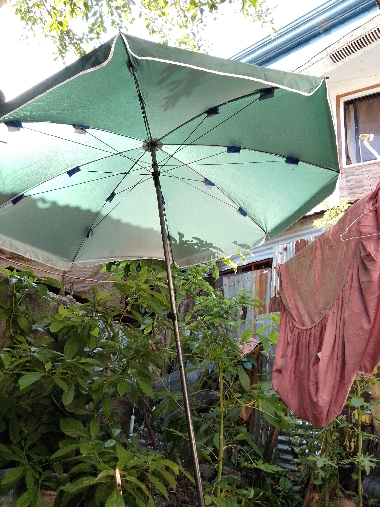 An outdoor scene in Davao City, Philippines, features a green umbrella angled overhead, casting shadows on lush green foliage. To the right, a draped pink garment hangs on a clothesline. In the background, a building with a window is visible, adjacent to corrugated metal fencing and more greenery. The overall setting appears to be a residential backyard or garden area.