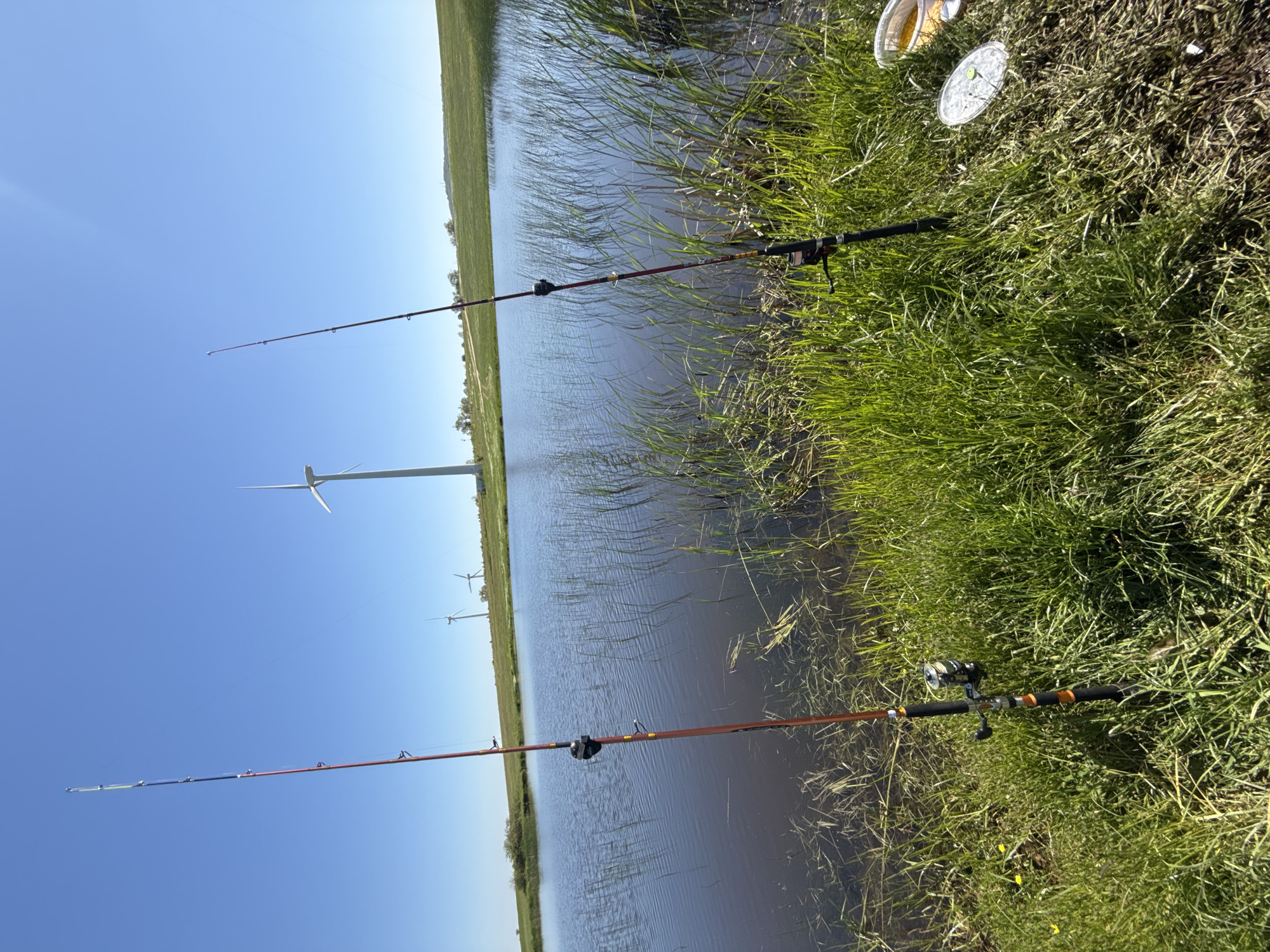 The image depicts a waterside scene, potentially in the outskirts of Lesovo, Bulgaria, suggested by the presence of wind turbines in the background, a common feature in the agricultural landscape of the region. Two fishing rods are positioned along the bank, with their lines extending into the water. The immediate foreground consists of lush green grass interspersed with reeds and marsh vegetation. The sky is clear and blue, indicative of a sunny day. Bait containers are visible on the grass, near one of the rods, indicating the setting is for fishing activities. The water surface shows slight rippling, possibly due to a gentle breeze. The composition suggests a serene, rural location, possibly a recreational fishing spot.
