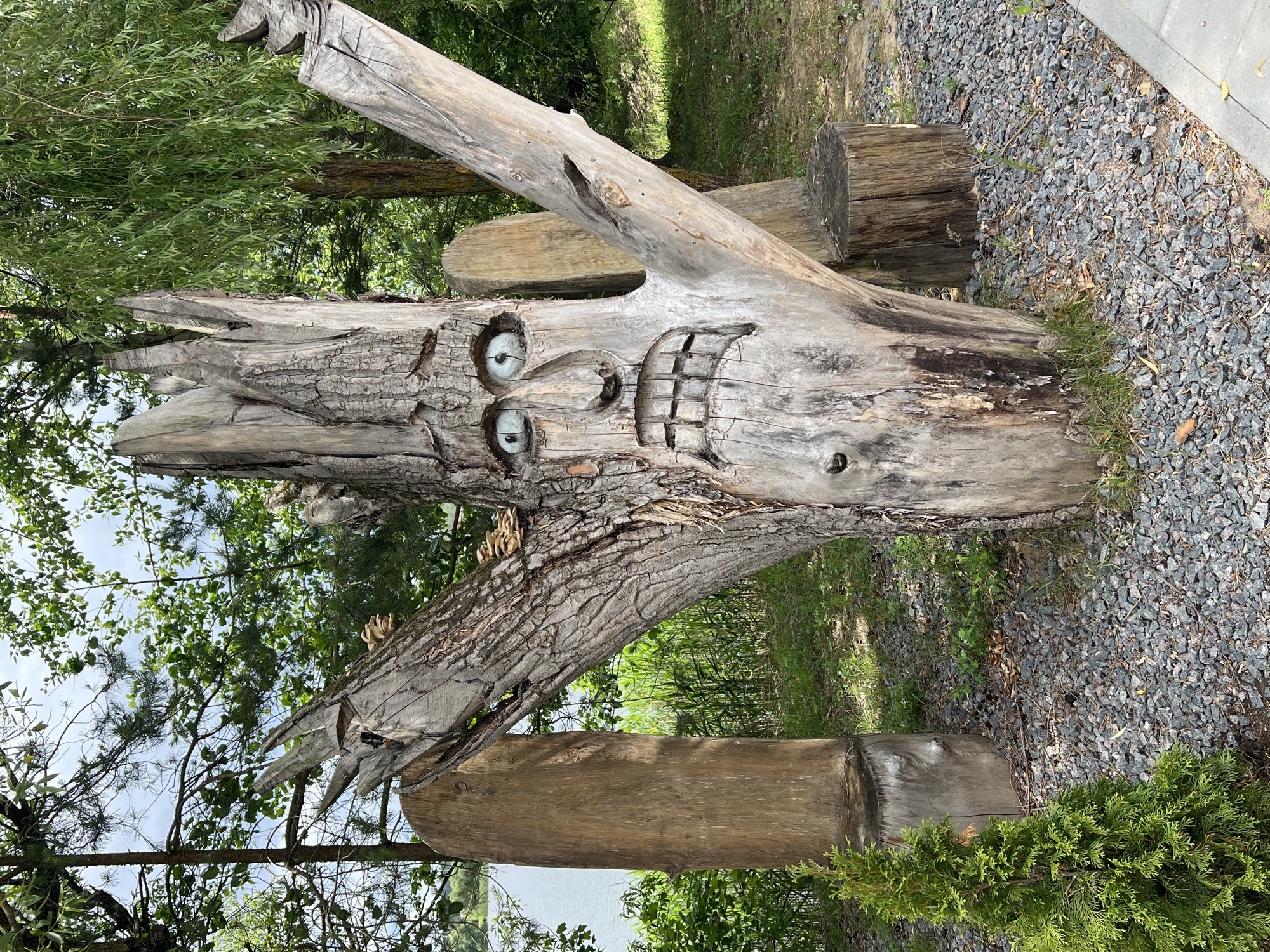 This image depicts a wooden sculpture of a face carved into a tree stump, situated outdoors. The sculpture features prominent eyes and a mouth with bared teeth, giving it an expressive, almost distressed appearance. The tree stump itself is weathered and appears to be part of a natural or landscaped setting, with surrounding gravel, grass, and other wooden elements that could be part of a park or artistic installation. The background shows lush greenery and a body of water, suggesting a location near a lake or river. There are no people present in the image.