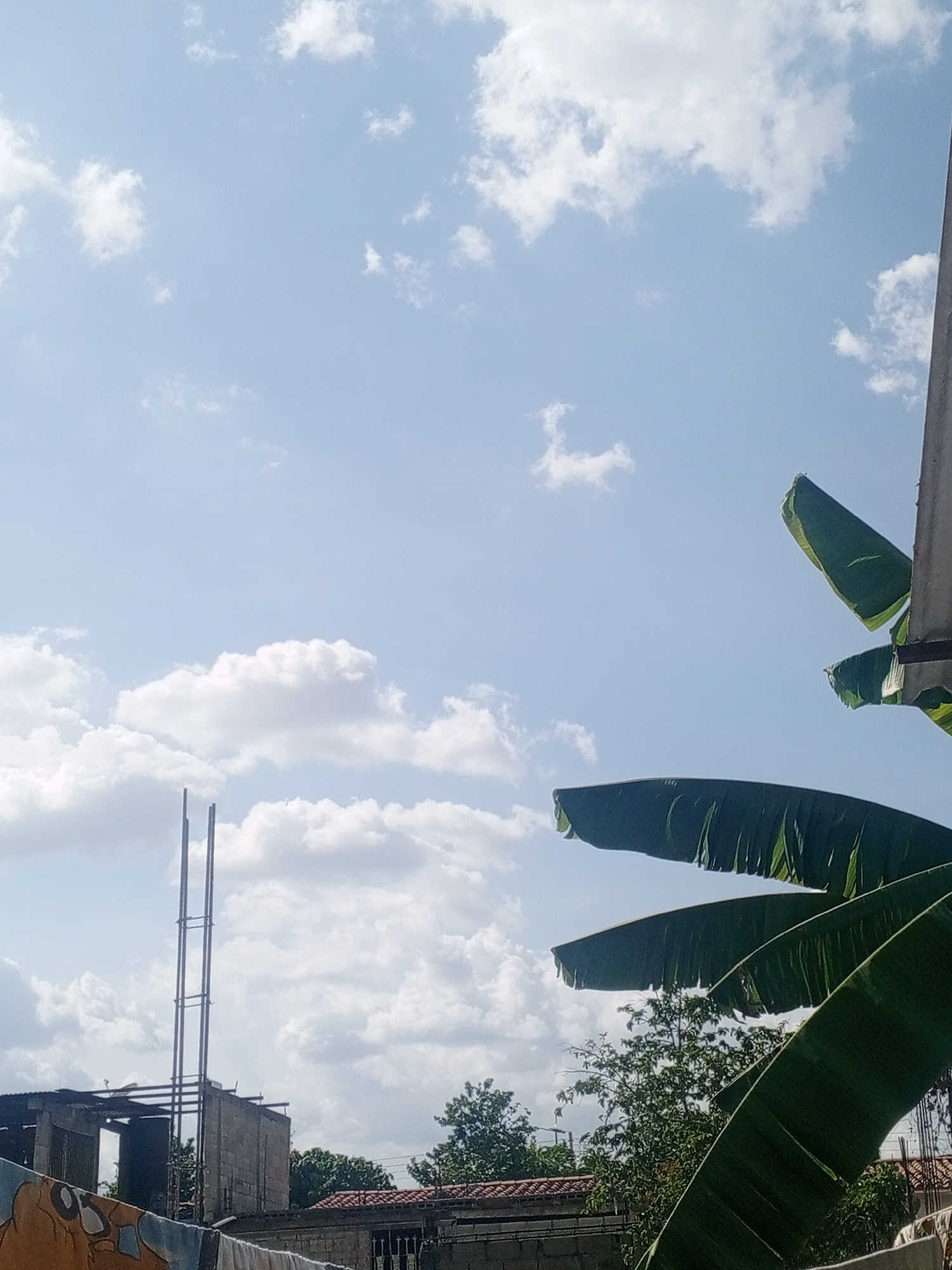 The image depicts a view in Parroquia Ocumare, Venezuela, showcasing a partly cloudy sky over a residential area. In the foreground, three large banana leaves are visible on the right, partially obstructing the view. To the left, there is a building under construction with exposed metal reinforcement rods extending upwards. Other buildings with tiled roofs are visible in the midground, interspersed with trees. The sky is predominantly light blue with scattered white clouds.