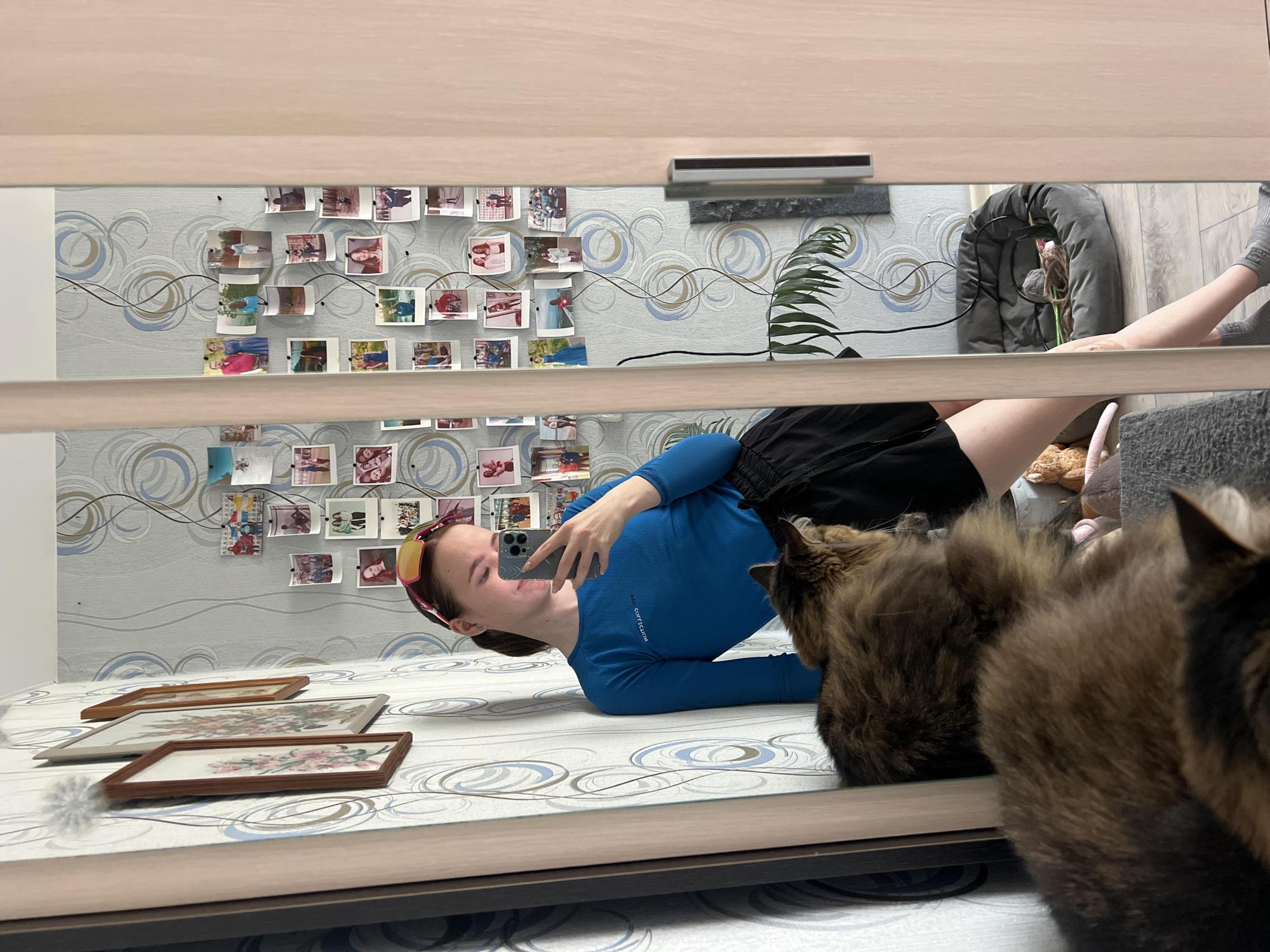 The image shows a mirrored view of a person lying on a bed, taking a selfie with their phone. The person is wearing a blue long-sleeved shirt and black shorts, with a pink headband. A cat is partially visible in the foreground, blocking part of the reflected view. On the wall behind the bed are patterned wallpaper and a collection of photographs. There are also picture frames placed on the bed. The location is identified as Chaikovsky, Russia.
