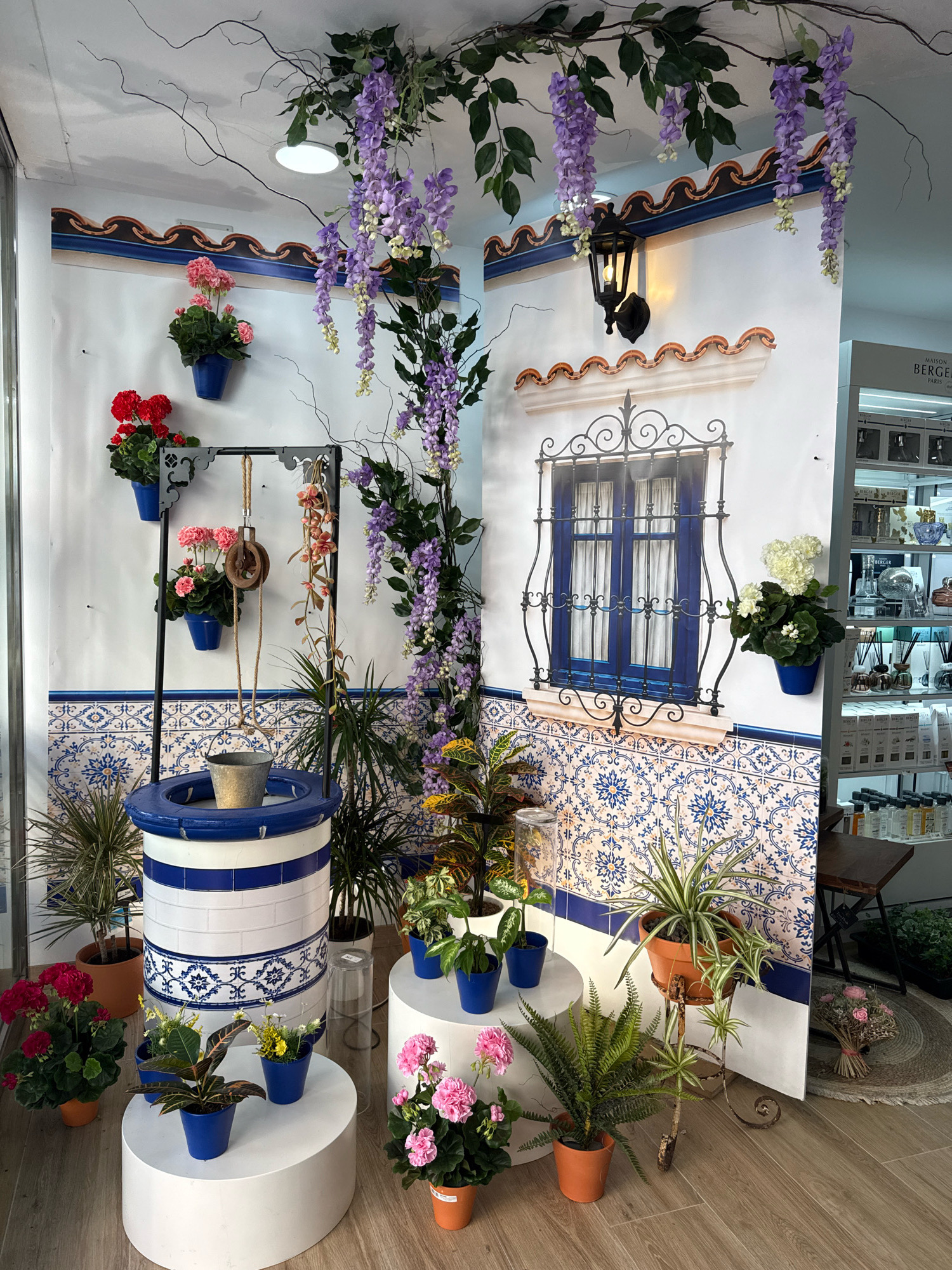 The image depicts a decorative floral display set up inside what appears to be a shop. The backdrop features a mural of a traditional Spanish courtyard, complete with blue and white patterned tiles, a decorative wrought-iron window with blue shutters, and a hanging lantern.
Dominating the foreground is a faux well structure, painted with blue and white horizontal bands and adorned with a small metal bucket. This structure is surrounded by various potted plants. Hanging from a metal rack above the well are several artificial wisteria vines in shades of purple and white, cascading downwards.
To the left of the well, a metal rack displays two potted red geraniums and two potted pink geraniums, each in a blue pot. To the right of the well, a spider plant is showcased in a terracotta pot on a decorative metal stand. Other potted plants, including ferns and various foliage plants, are strategically placed around the display.
In the background, a shelving unit stocked with bottles, possibly perfumes or home fragrances, is visible, suggesting the shop sells such items. The overall scene is designed to evoke a Mediterranean or Spanish ambiance, likely for decorative purposes within the retail space.
The location provided is Malgrat De Mar, Spain.