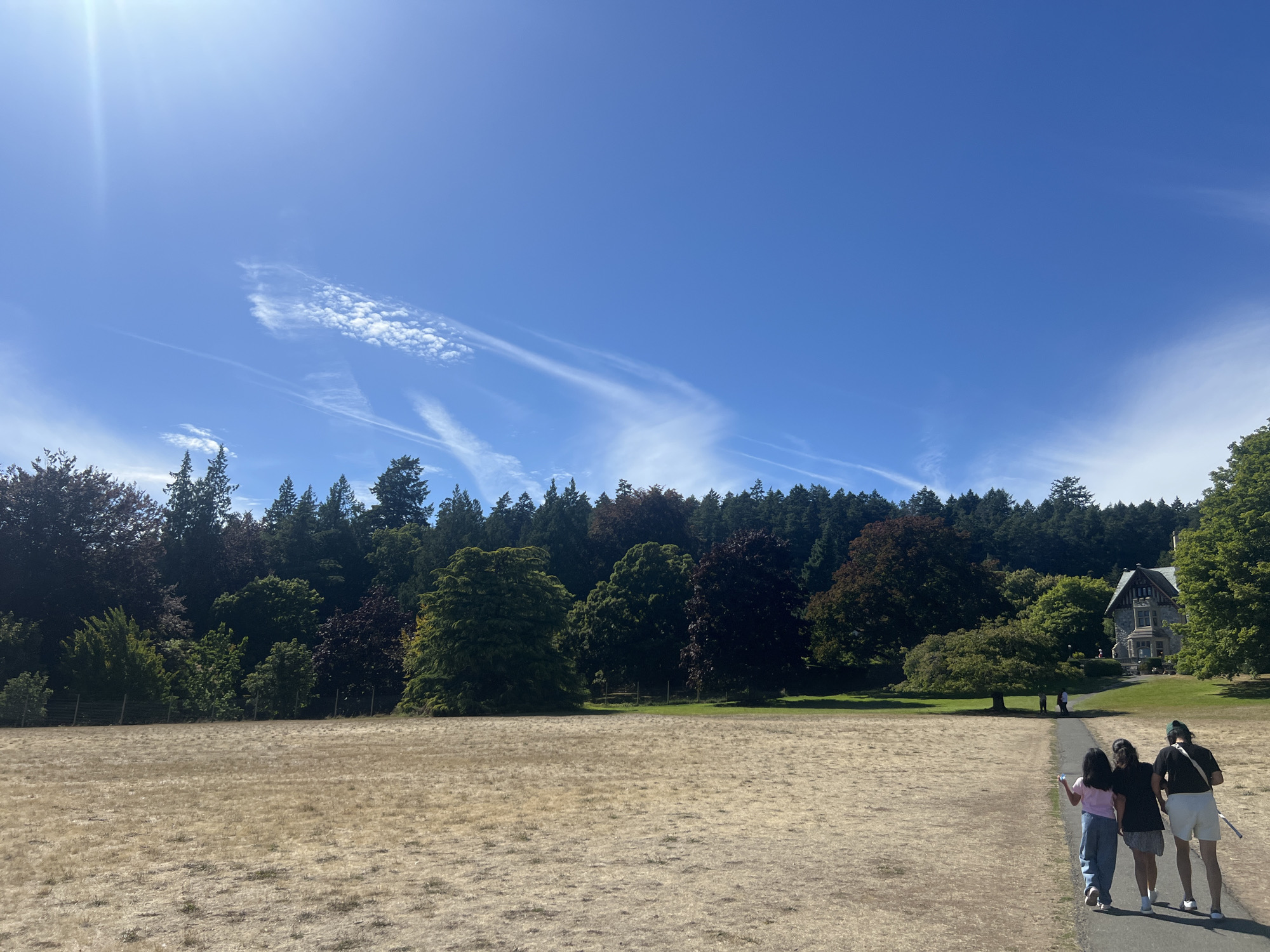 The image depicts a bright, sunny day with a clear blue sky and scattered cirrus clouds. In the foreground, a large, dry, golden field stretches across the lower half of the frame. A paved pathway curves from the lower right corner towards the center, where three individuals are walking away from the camera. The person on the left wears a pink shirt and jeans, the middle person wears a black shirt and a skirt, and the person on the right wears a black t-shirt, white shorts, and carries a white object that could be a racket or a club.
Beyond the field, a line of diverse trees forms a dense forest, with some trees displaying dark red foliage and others being green. A fence runs horizontally across the middle ground, separating the field from the wooded area. In the upper right quadrant of the image, a large stone building with a multi-story structure and visible windows is situated on a grassy slope amidst the trees. This building is likely Hatley Castle, part of Royal Roads University, located in Langford, Canada, as it matches the architectural style and setting. The overall scene suggests a park or estate setting on a warm, clear day.
