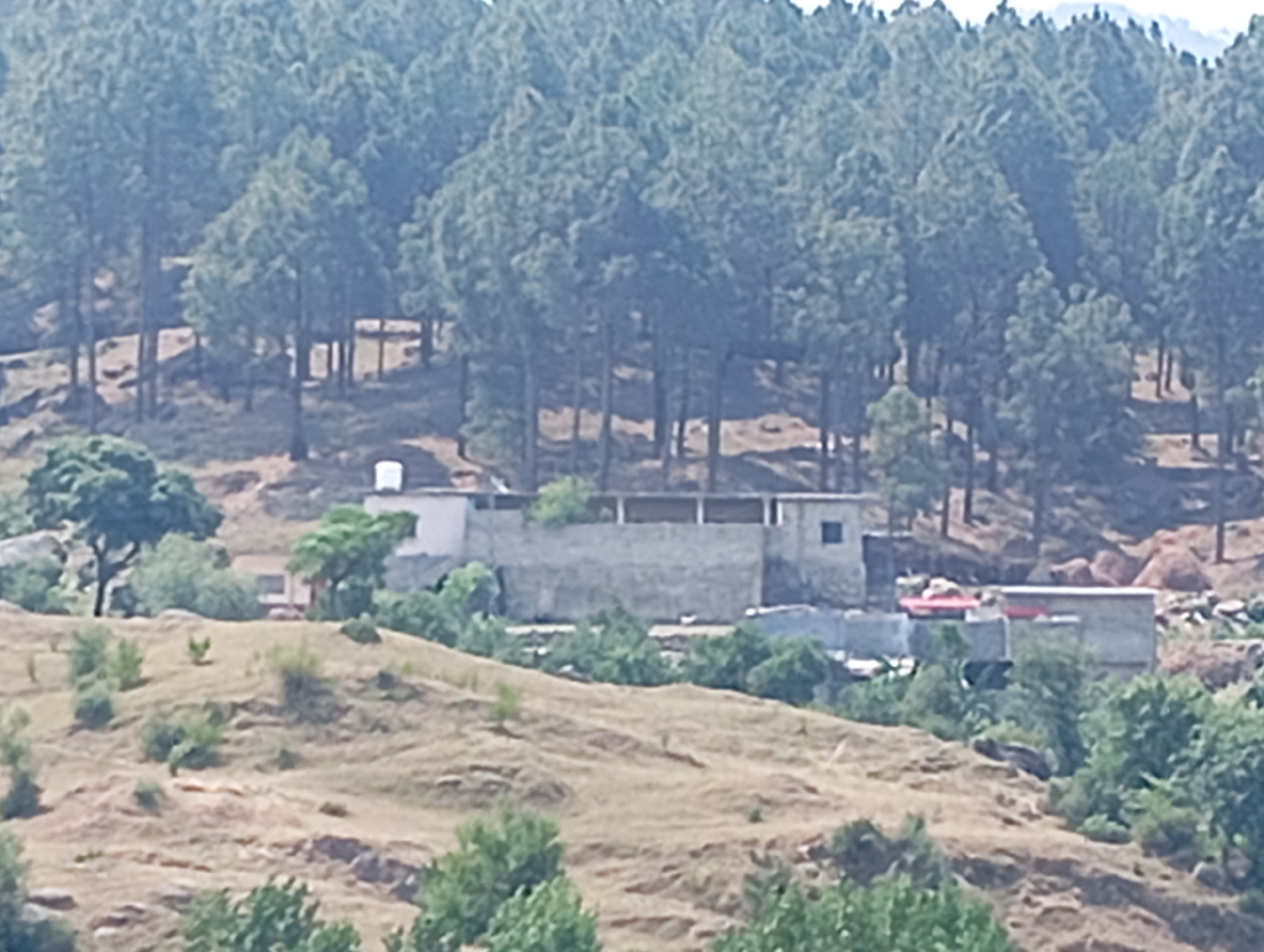 The image shows a rural landscape in Hakale, Pakistan, characterized by rolling hills covered in dry grass and scattered trees. In the middle ground, a cluster of buildings is visible, constructed with stone and concrete. Some of these structures appear to be partially completed or in disrepair, with exposed concrete and unfinished roofing. One building has a red-tiled roof. Behind the buildings, a dense forest of pine trees covers the upper slopes of the hills. The overall scene depicts a remote, possibly developing, area with a mix of natural and man-made elements.