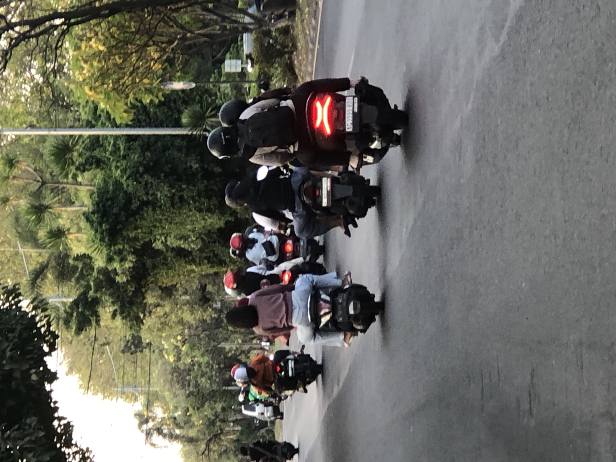 The image depicts a busy street scene in Gelam, Indonesia, likely during daylight hours. A group of people on motorcycles are traveling on a paved road. The motorcycles are primarily small scooters, with several riders carrying passengers. Many of the riders are wearing helmets, with some being black and others red. The vegetation surrounding the road is dense and green, suggesting a tropical or subtropical environment. Trees and bushes line the sides of the road, and some of them have yellow flowers. In the background, there are power lines and poles, typical of urban infrastructure. The road appears to be in moderate condition, with some visible cracks and markings. The overall impression is of a common mode of transportation in a vibrant, possibly urban or suburban, Indonesian setting.