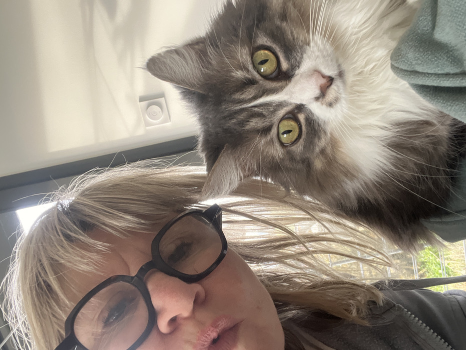 An image captured in Chambœuf, France, depicts a close-up selfie of a woman and a cat. The upper left half of the frame features the woman, who has blonde hair and wears dark-framed eyeglasses. Her left eye is visible through the lens, and her mouth is slightly open. She is wearing a grey hooded garment. To the right, a long-haired cat is positioned. It exhibits grey, white, and brown tabby markings, a prominent white muzzle and chest, and striking yellow-green eyes, which are directed toward the viewer. The cat is held or positioned close to the woman, resting on a teal-colored fabric. The background indicates an indoor setting, with a bright light source visible on the upper left. A white wall with a white square-shaped electronic device is visible on the upper right. Blurred outdoor foliage and a light-colored railing are faintly visible behind the woman on the far left.