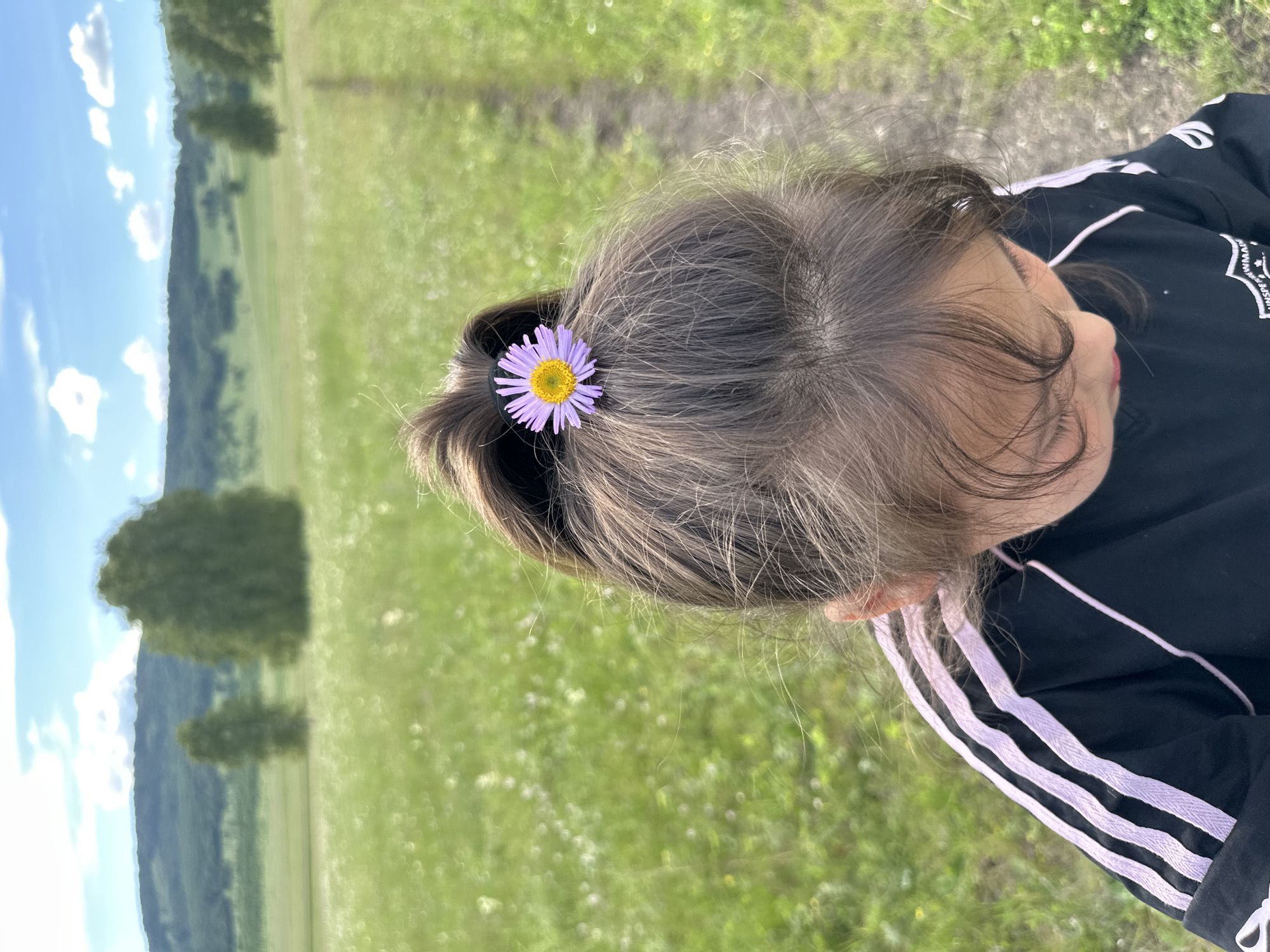 A medium shot shows the back of a young girl's head, adorned with a small purple and yellow daisy in her dark brown ponytail. She is wearing a black t-shirt with light pink stripes on the sleeves. The girl is looking down, out of frame. The background is a blurry, sunlit meadow filled with green grass and scattered white wildflowers. In the distance, rolling green hills covered in trees form the horizon under a bright blue sky with white clouds. A dirt path is visible to the right of the girl, winding through the meadow. The location is described as Unknown, Unknown.