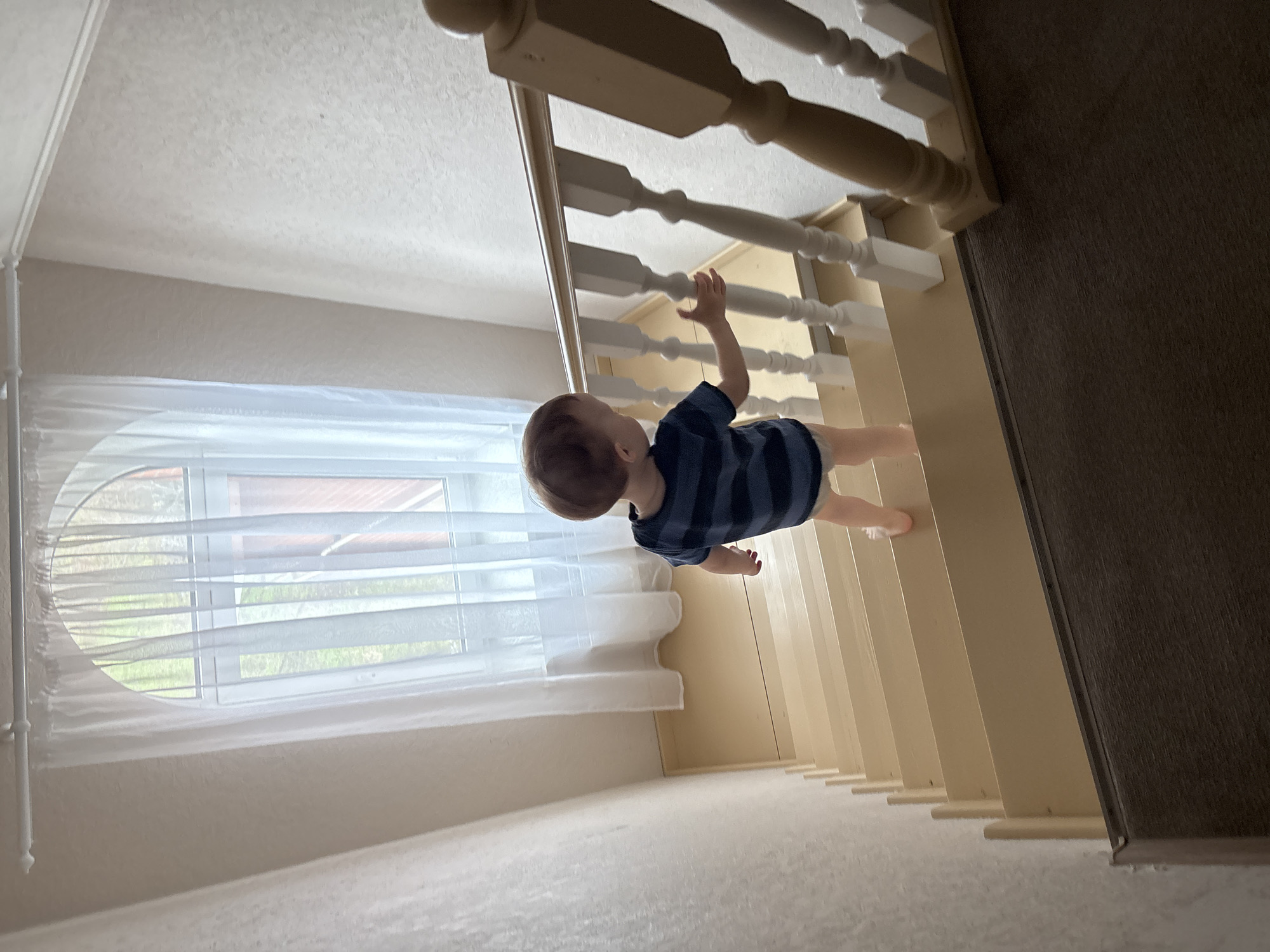 A baby or young toddler is captured mid-action, attempting to climb a wooden staircase in an indoor residential setting, likely in Ferma, Russia. The image is oriented with the subject vertical, suggesting it was taken from a lower angle looking up, and is rotated 90 degrees counter-clockwise.
The child, seen from the back and side, has light brown hair and is dressed in a dark blue and white striped t-shirt over light-colored bottoms, possibly a diaper or shorts. Barefoot, one hand reaches up to grasp a white baluster of the staircase's banister, indicating an upward movement.
The staircase features light-colored wooden steps, banister, and balusters, which appear to be painted white or cream. Adjacent to the stairs on the left is a large window covered by sheer, white translucent curtains or blinds, through which natural daylight filters into the room. Visible through the window are green foliage and a building with a reddish roof, suggesting a residential outdoor environment.
The floor at the top of the stairs is covered with a light-colored carpet, while another section of flooring, likely at the bottom or an adjacent area, is a dark brown carpet. The presence of natural light indicates it is daytime. There is no visible text in the media file.
