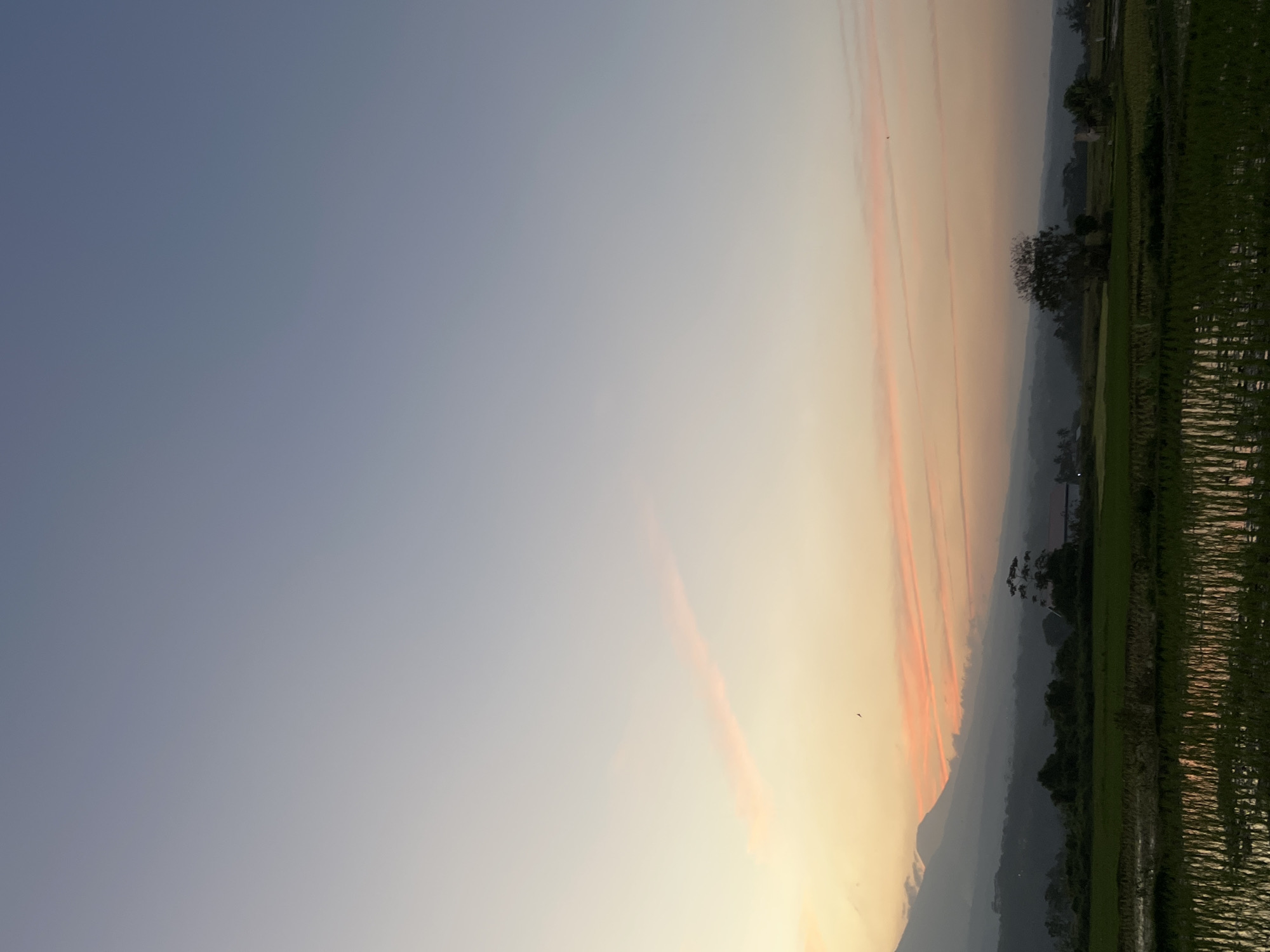 The image captures a serene rural landscape at dusk, likely in Kalijoso, Indonesia. The sky is a gradient of soft blues, transitioning into warm oranges and pinks near the horizon, indicative of a sunset. Several thin, elongated clouds streak across the sky, catching the last rays of sunlight and appearing as delicate pink ribbons.
In the foreground, a lush green rice paddy field is visible, with rows of young rice plants partially submerged in water. The water reflects the colors of the sky, creating a shimmering effect. A lone bird can be seen soaring in the sky.
In the midground, a dense line of trees and vegetation separates the rice fields from the background. A solitary, mature tree stands out, its branches silhouetted against the fading light. Beyond the vegetation, rolling hills are shrouded in a soft haze, and a distant mountain range looms, its peak touched by the twilight glow. A few scattered buildings are subtly visible amidst the landscape. The overall atmosphere is one of tranquility and natural beauty.