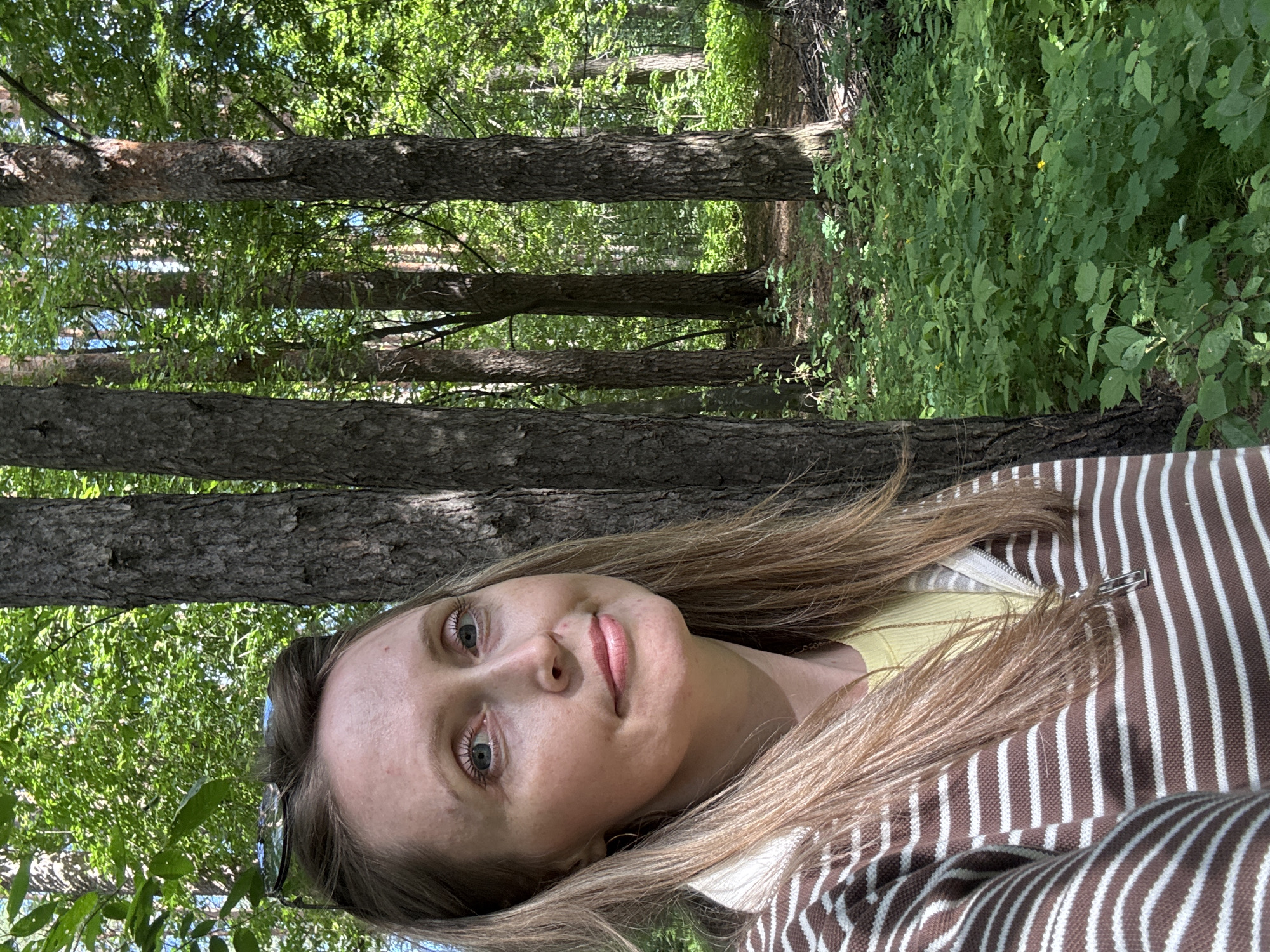 A woman with light skin, blonde hair, and blue eyes takes a selfie in a sunlit forest. She is wearing a brown and white striped zip-up hoodie over a yellow shirt. Sunglasses are perched on her head. The background consists of tall pine trees and dense green undergrowth, indicating a natural outdoor environment. The image appears to be taken during the daytime. This location is likely within the city of Chaikovsky, Russia, given the user's request.