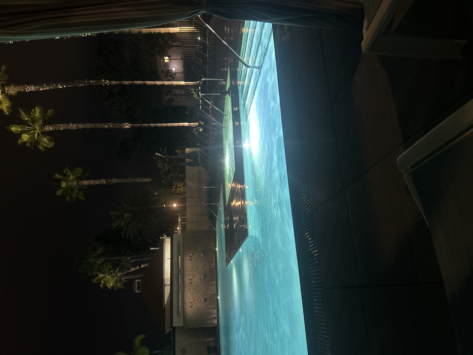 A serene night scene showcases a rectangular swimming pool bathed in a soft glow, likely from underwater lights. The pool's edge is bordered by a dark tiled surface, and lounge chairs are partially visible in the upper right. Palm trees are silhouetted against the dark sky, lining the left side of the frame. Further back, building lights add subtle illumination to the landscape. The view is partially obstructed by what appears to be a draped curtain in the upper left.