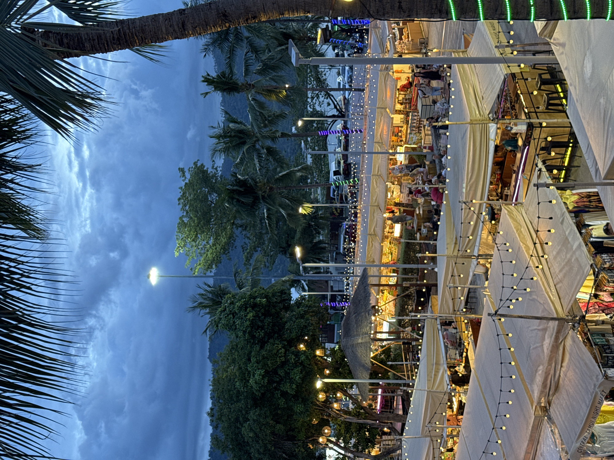The image depicts a bustling night market scene, likely in a tropical location given the presence of palm trees. The time of day appears to be dusk or early evening, as the sky is a deep blue with some clouds, and artificial lights are illuminating the market stalls. The market is set up with numerous white-canopied stalls, many adorned with strings of small, warm-toned lights, creating a festive and inviting atmosphere.
People are visible browsing and shopping at the various stalls, suggesting an active commercial event. Some stalls display goods, though the specifics are not entirely clear due to the distance and lighting. The overall scene conveys a sense of lively commerce and social interaction.
Notable details include the tropical foliage, specifically palm fronds in the foreground and trees in the background, which hint at a warm climate. The sky's color suggests an approaching evening or post-sunset period, possibly with some atmospheric moisture. The light sources are primarily the decorative string lights, overhead stall lighting, and street lamps.
There is some visible text on one of the stall canopies in the lower right quadrant of the image. It reads "CENTRAL SAMUI NIGHT MARKET", which provides a strong clue to the location.