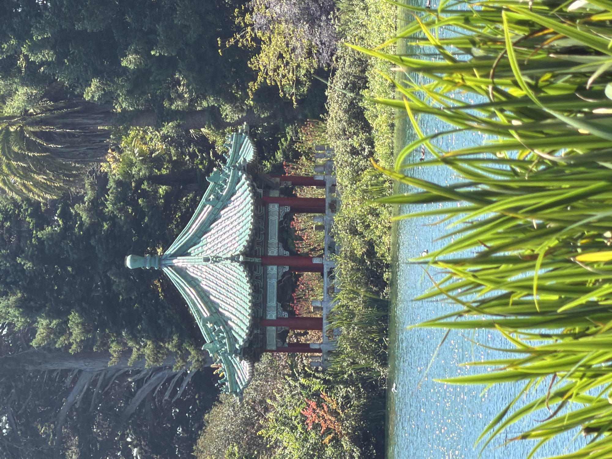 The image shows a tranquil scene at Stow Lake in Golden Gate Park, San Francisco. A traditional Chinese pagoda, painted in green and red, stands majestically on an island in the middle of the lake. The pagoda's multi-tiered roof with upturned eaves is a striking architectural feature. Surrounding the pagoda, lush greenery thrives, with trees forming a verdant backdrop and the lake's surface shimmering under the sunlight. In the foreground, tall blades of grass create a natural frame, adding depth to the composition. A lone bird is visible on the water, adding a touch of wildlife to the serene environment. The overall atmosphere is one of peace and natural beauty.