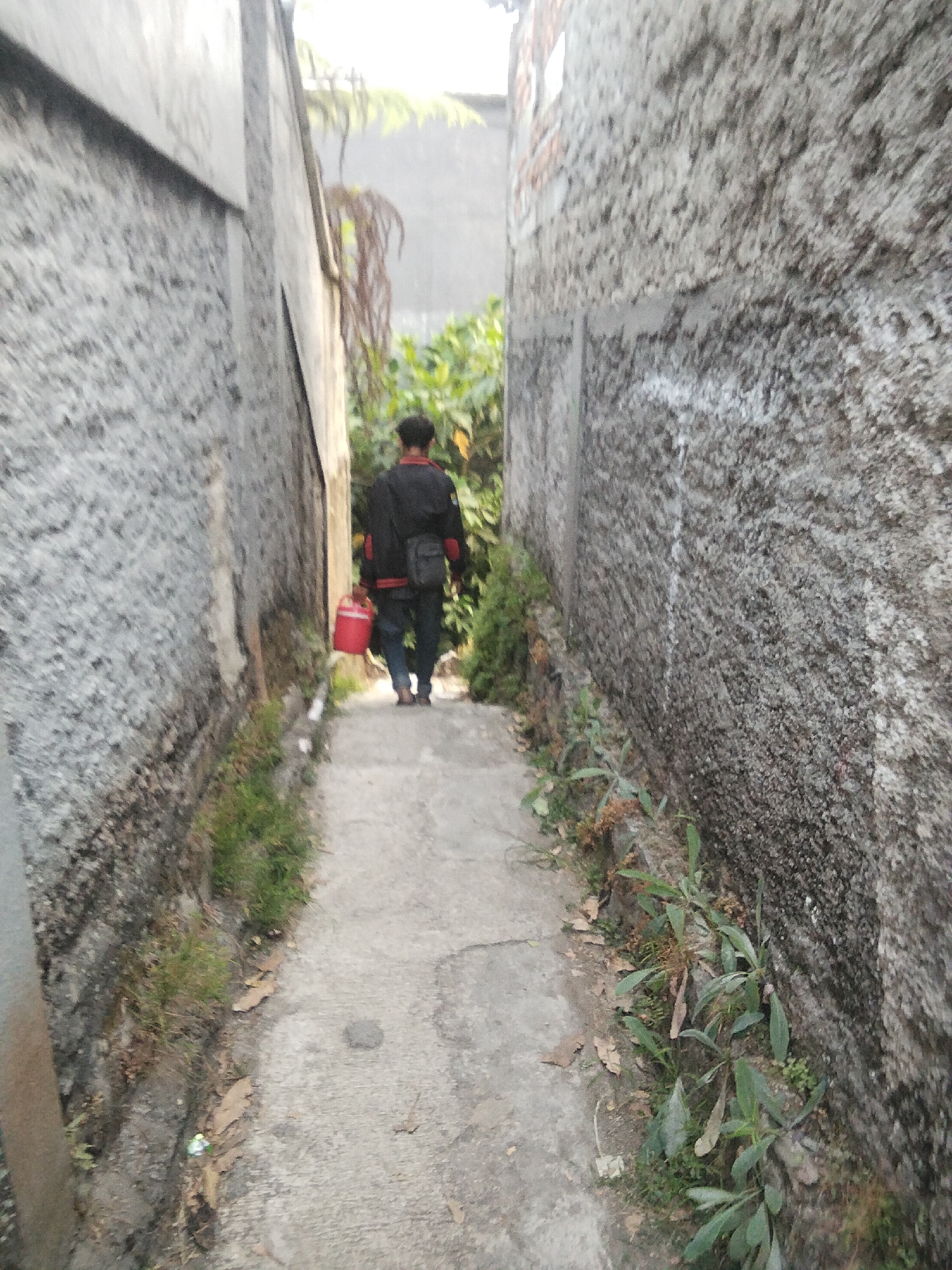 A person walks down a narrow, concrete alleyway in Cisaat, Indonesia. The alley is bordered by rough, textured concrete walls on both sides. The person, seen from behind, is wearing a dark jacket with red accents and dark pants. They are carrying a red bucket in their right hand and a dark bag slung over their left shoulder. Green foliage grows along the base of the walls and on the sides of the path. The ground of the alley is a light gray concrete, showing some wear and discoloration, with scattered dry leaves. The lighting suggests it is daytime, with sunlight illuminating parts of the scene.