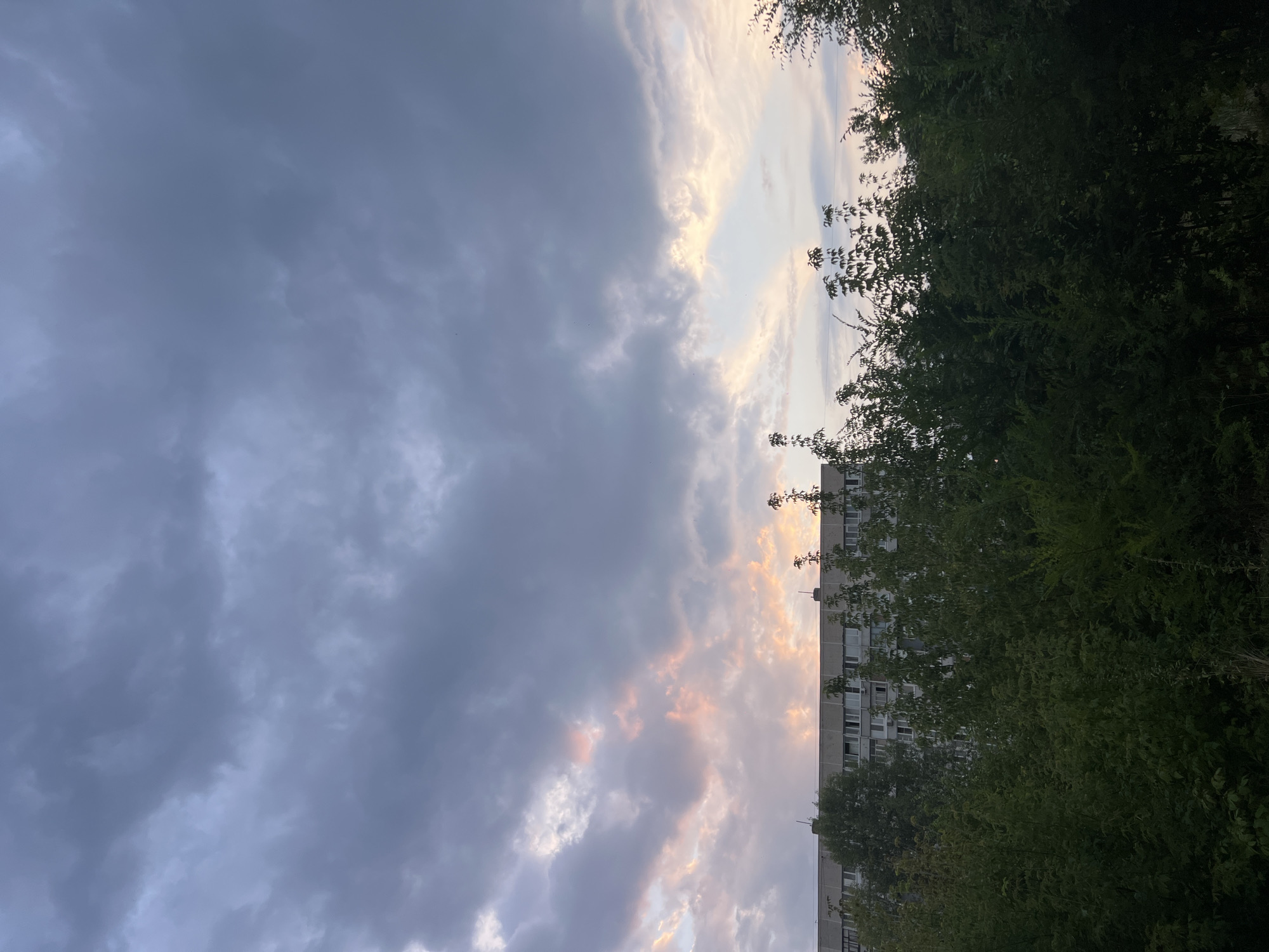 An outdoor, eye-level, medium shot captures a building and trees against a cloudy sky in Ulyanovsk, Russia. The sky, taking up the majority of the frame, is filled with heavy, dark grey clouds, with streaks of pink and pale yellow light breaking through on the left and right horizons. Below the sky is a long, flat-roofed, multi-story apartment building with numerous windows. In the foreground, a dense wall of dark green trees and bushes obscures the lower portion of the building and extends across the entire width of the image. No people or animals are visible. The lighting suggests it is either dawn or dusk.